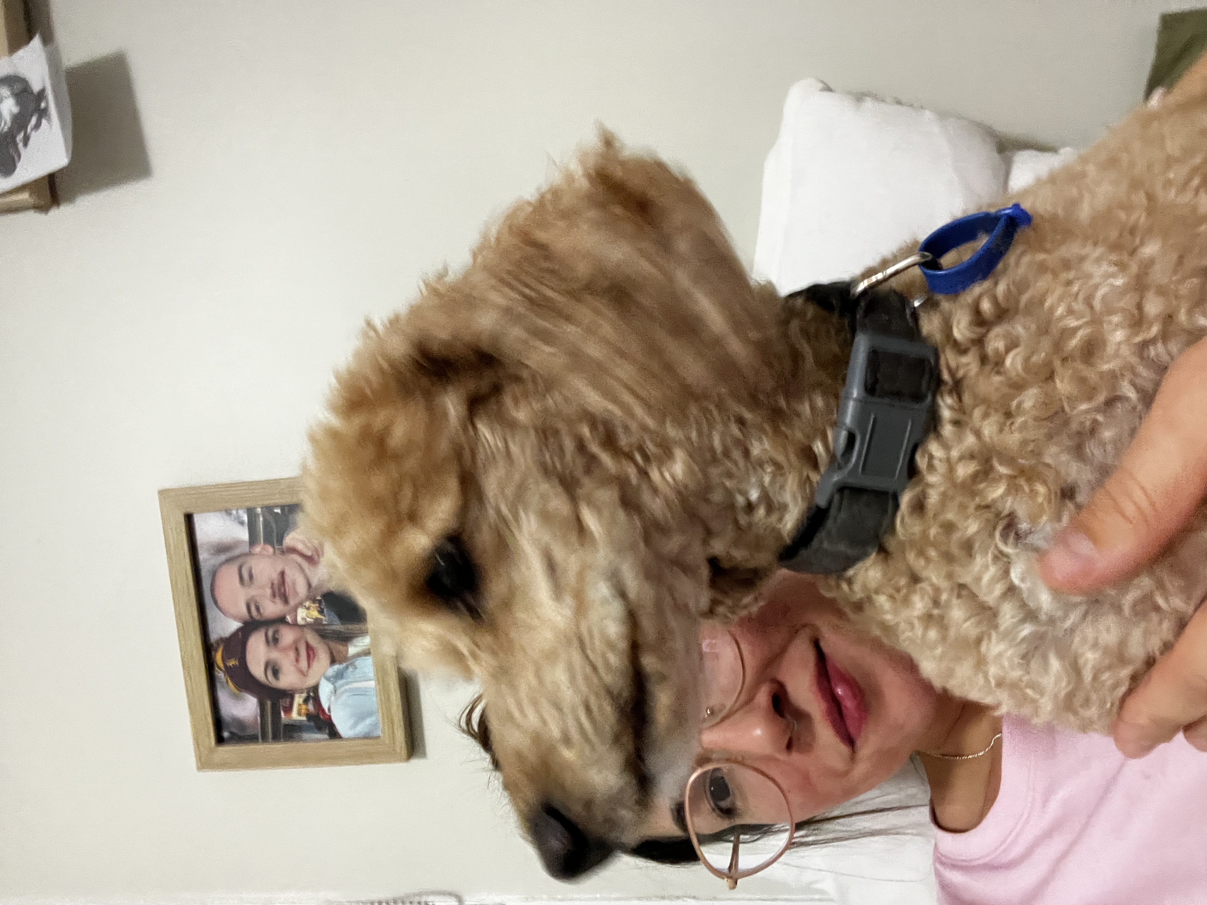image-11