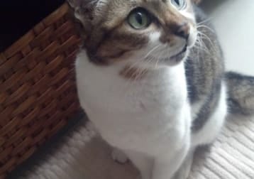 Sesame đ1999-2022