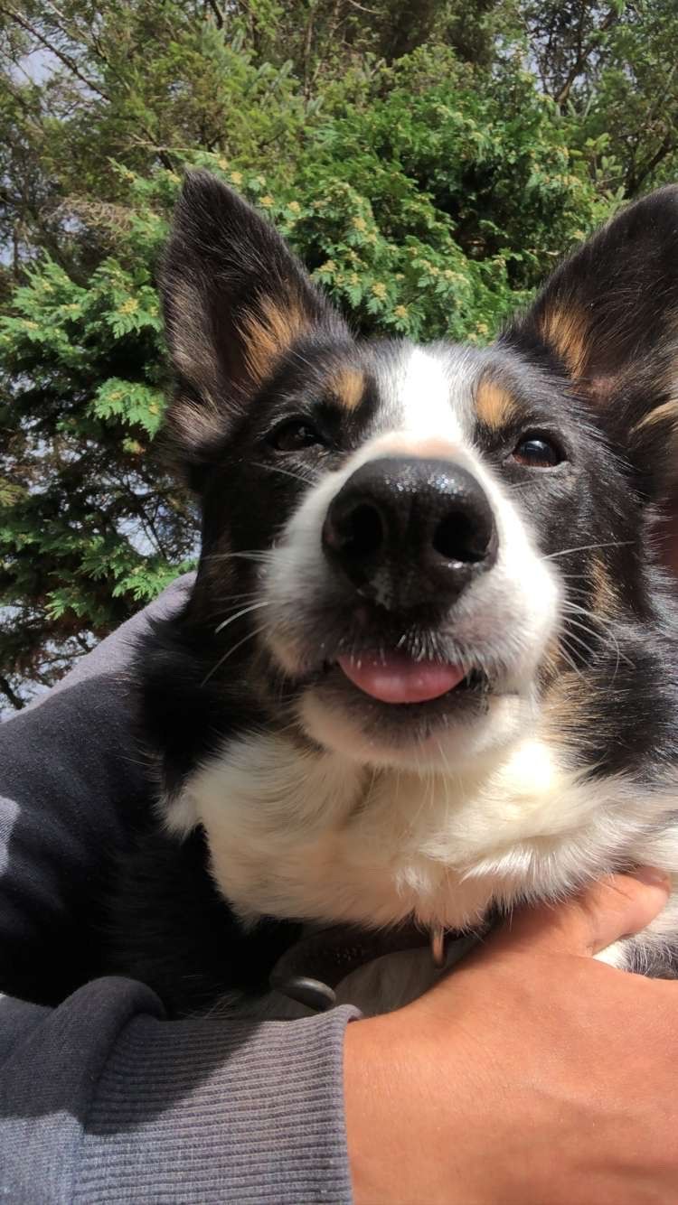 image-2