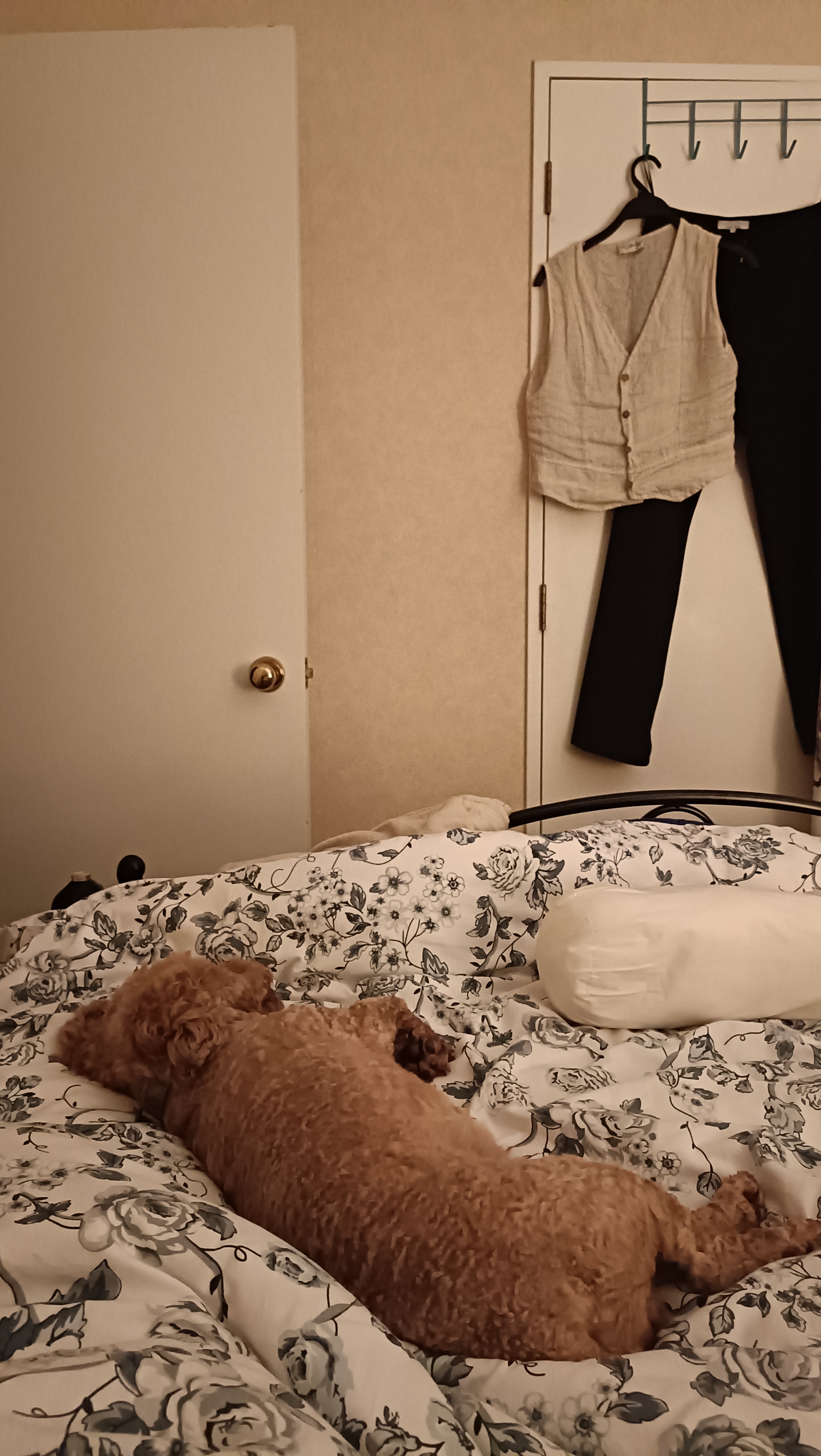 image-9