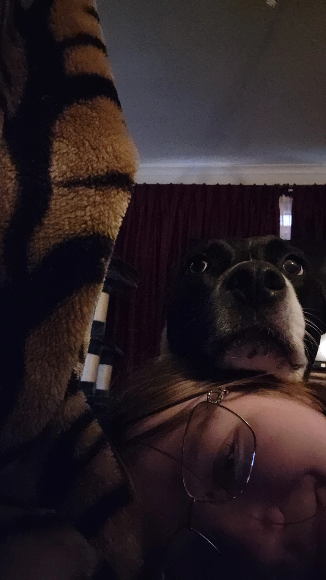 image-11