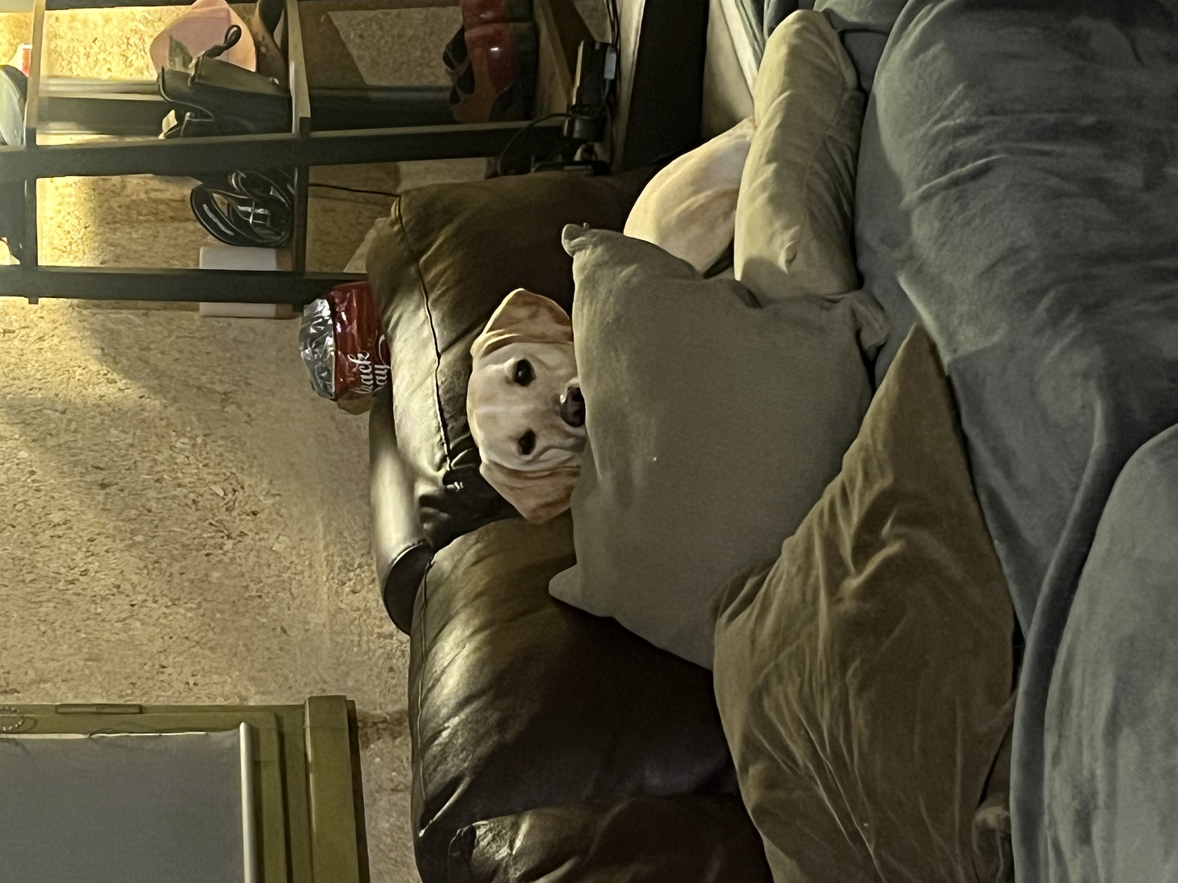 image-6
