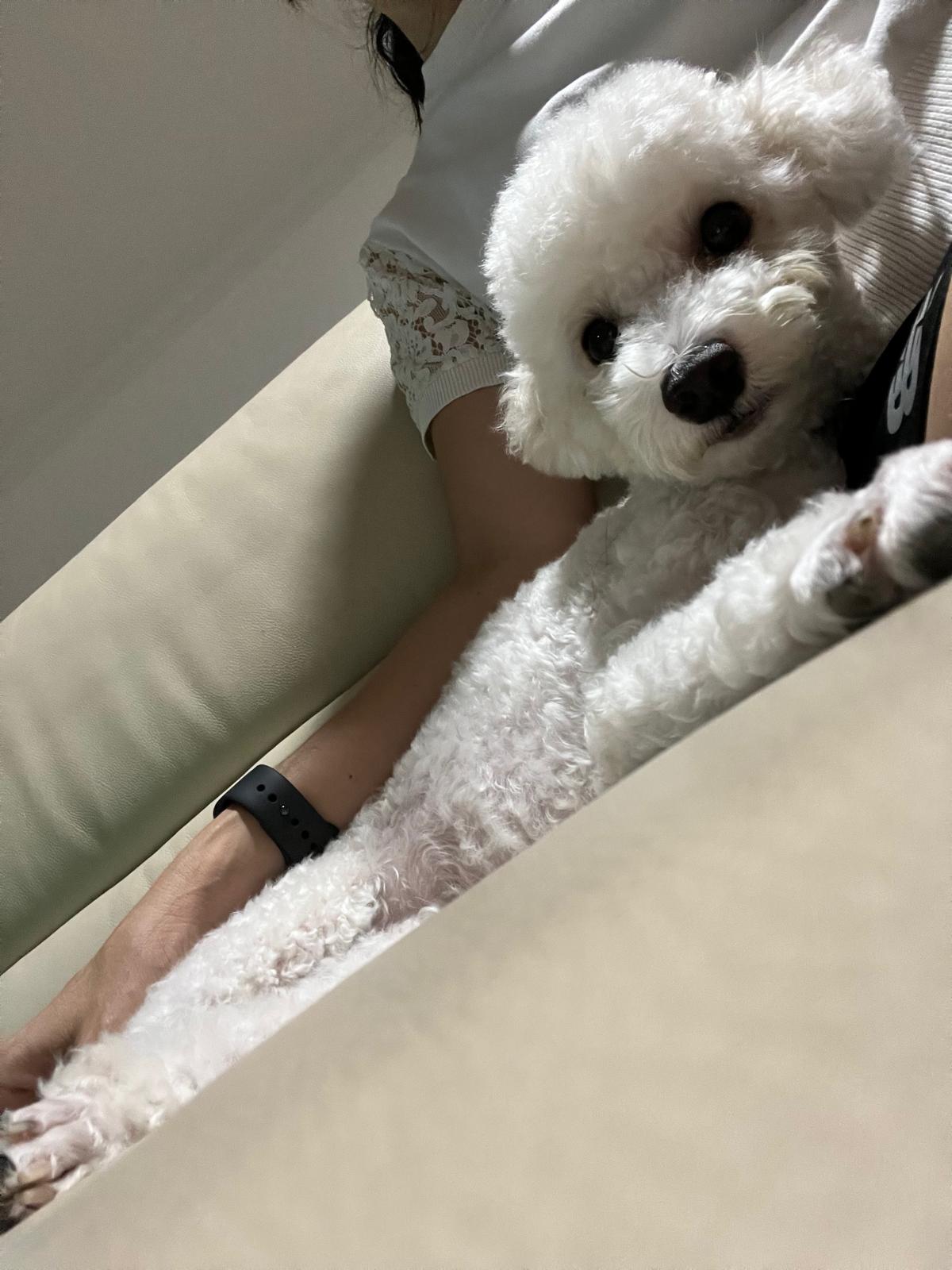 image-12