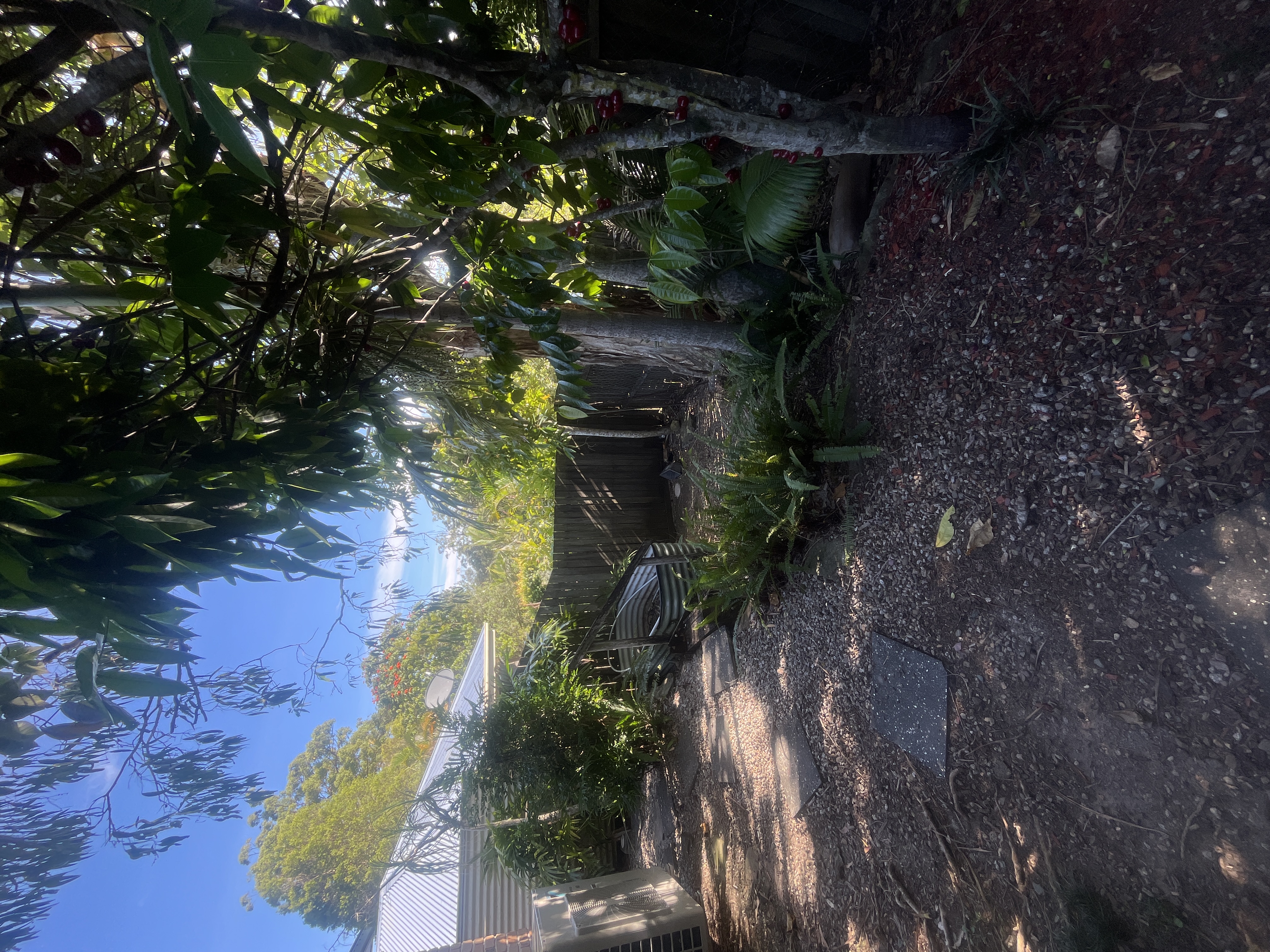 image-14