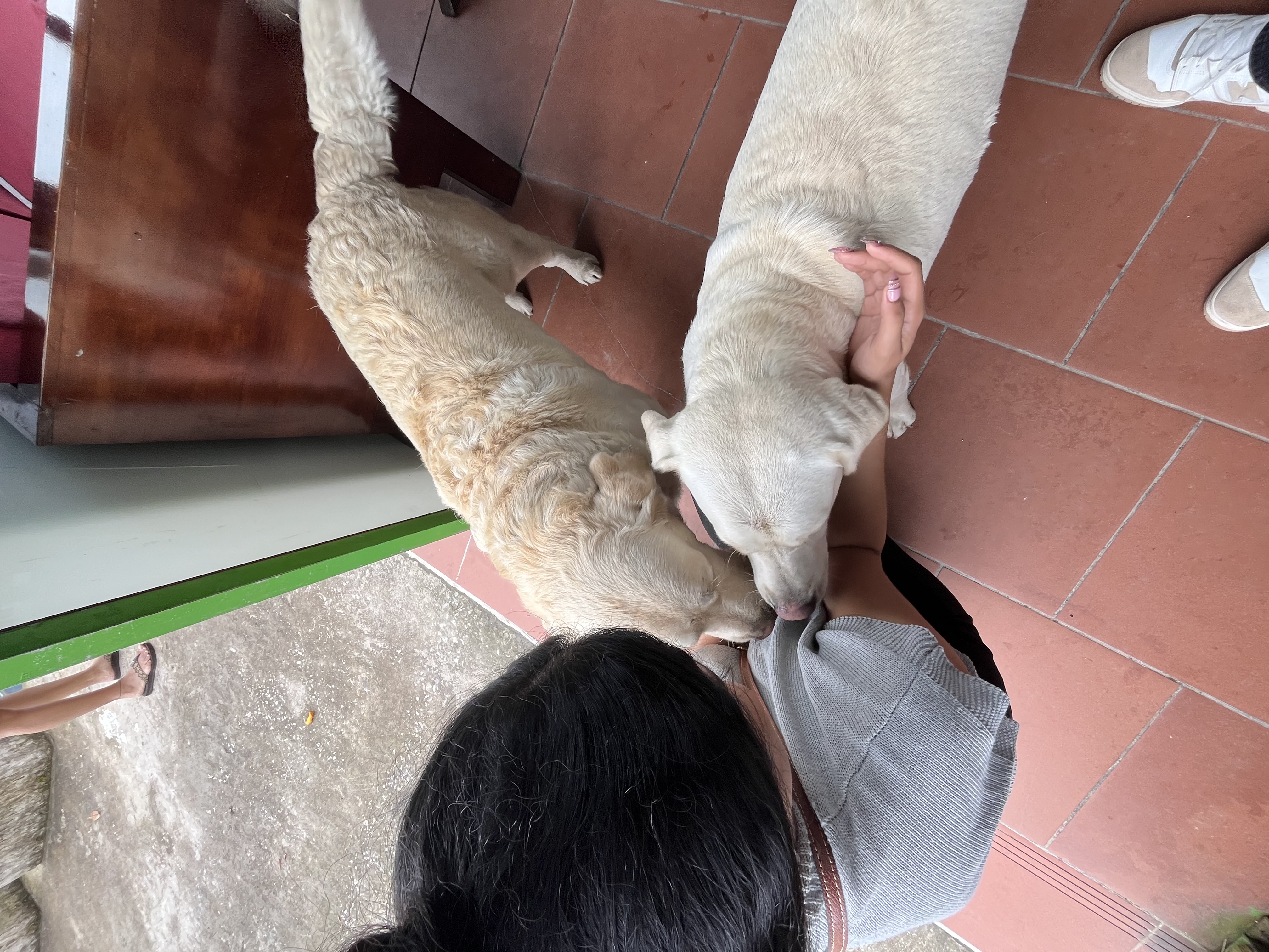 image-4