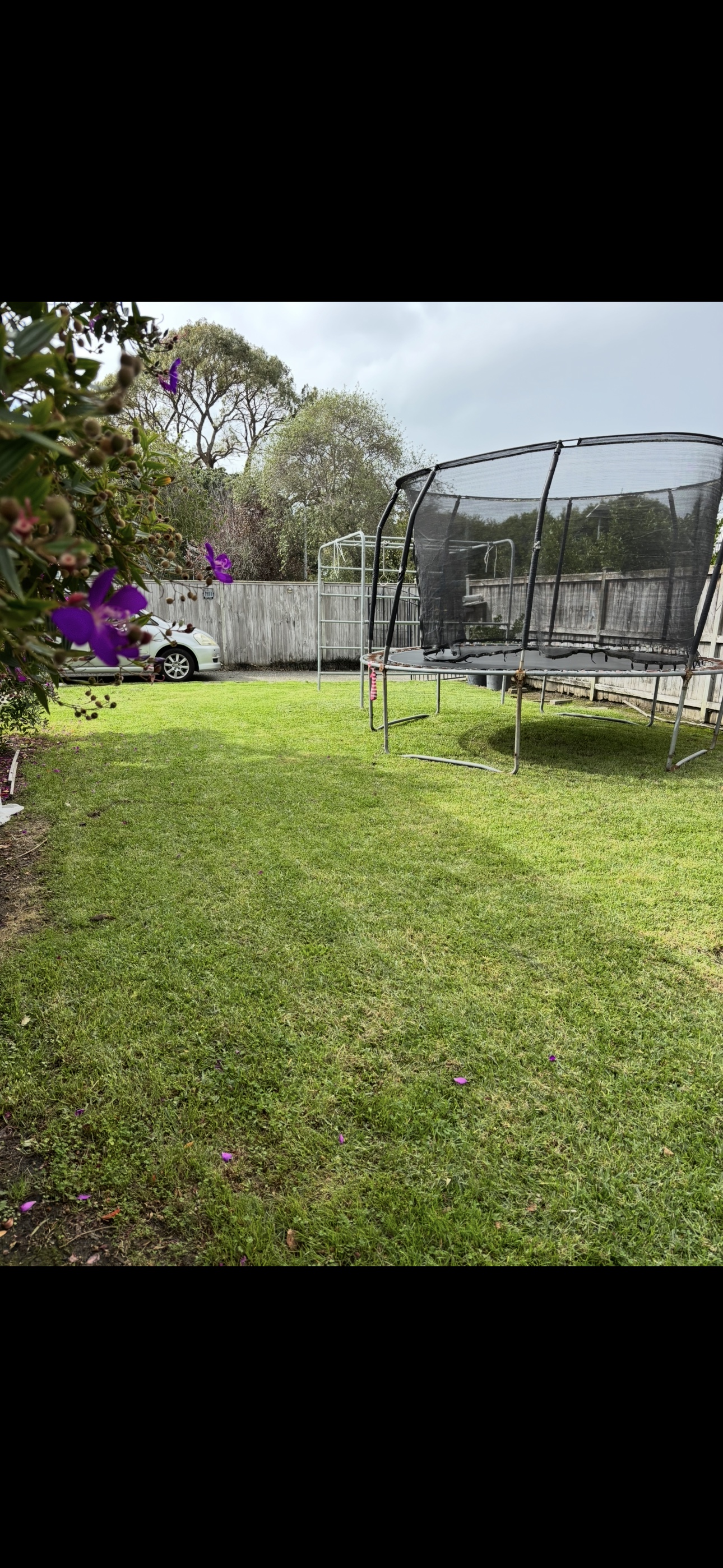 image-18
