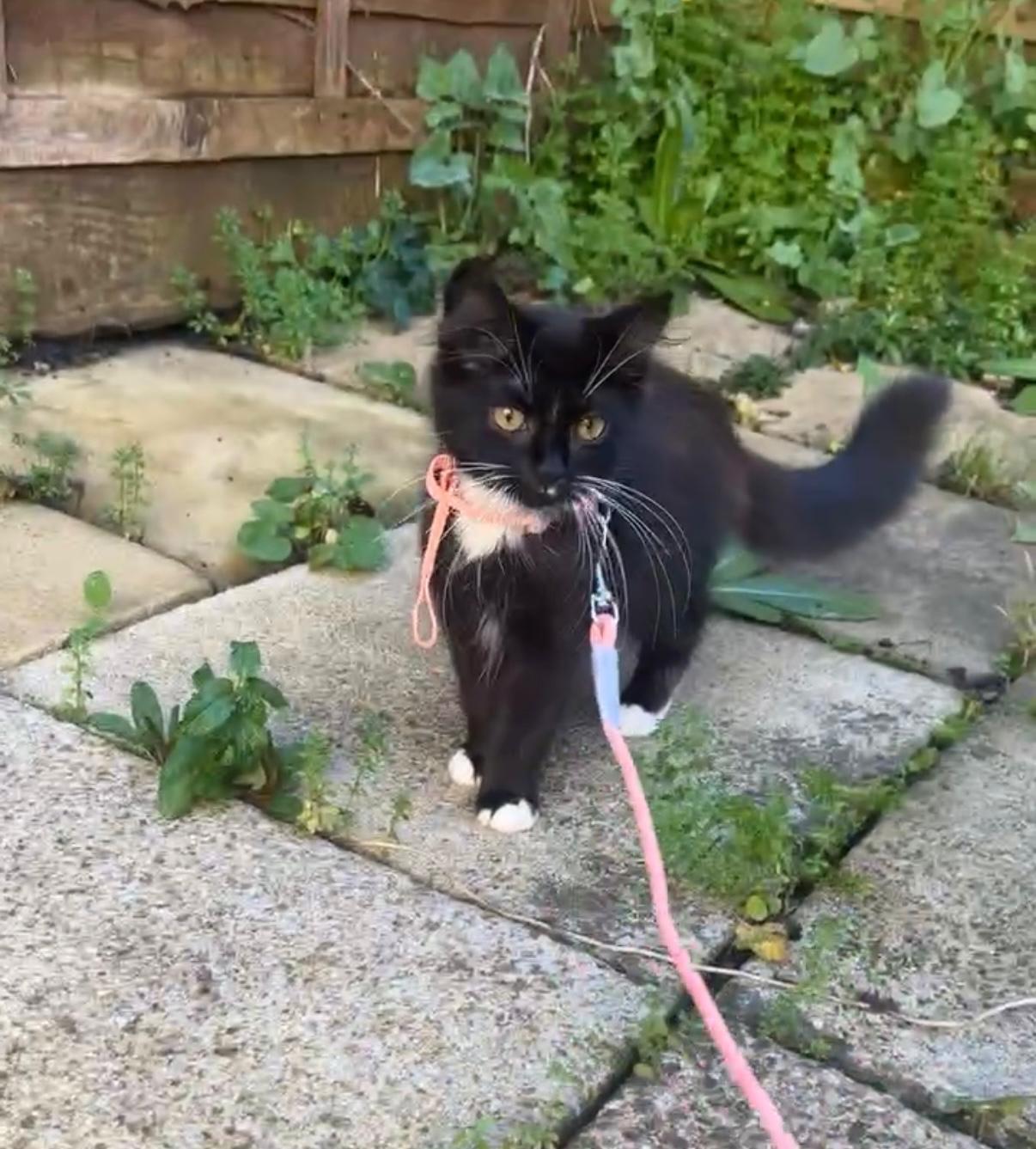 image-6