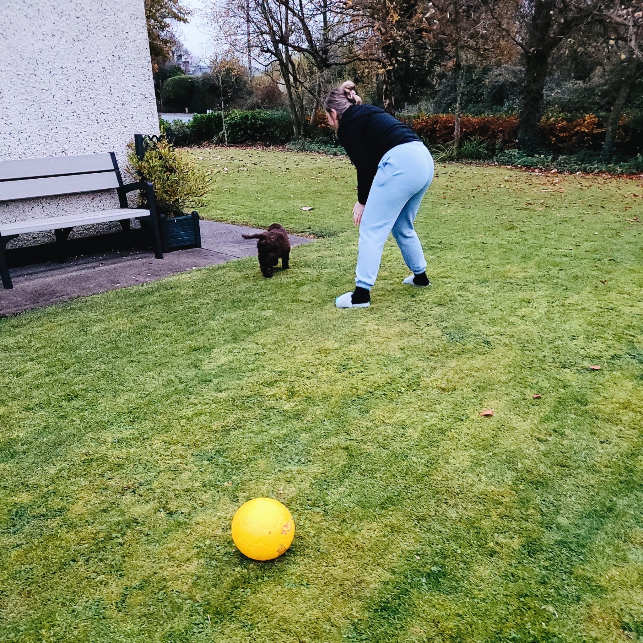image-2