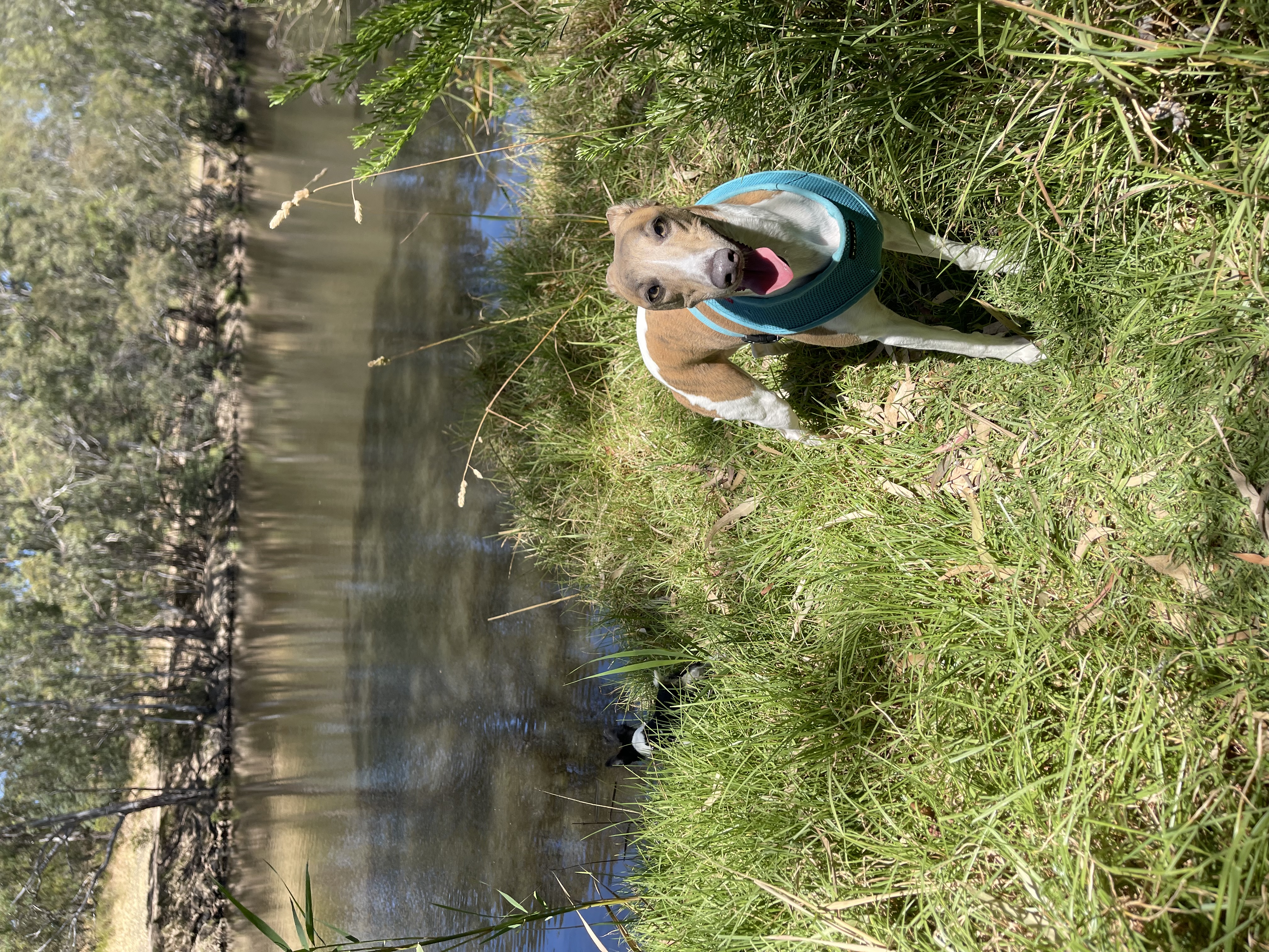 image-9