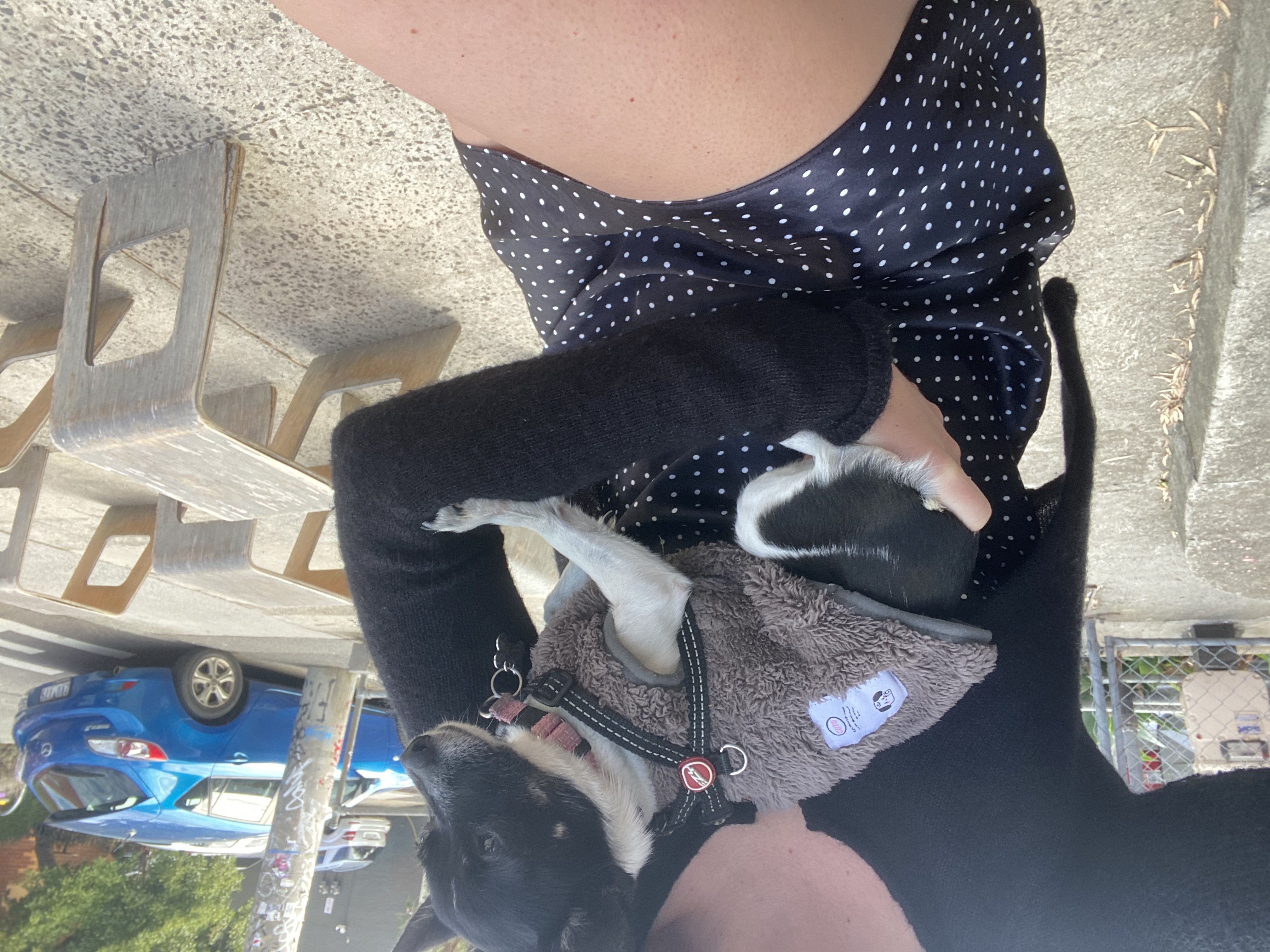 image-6