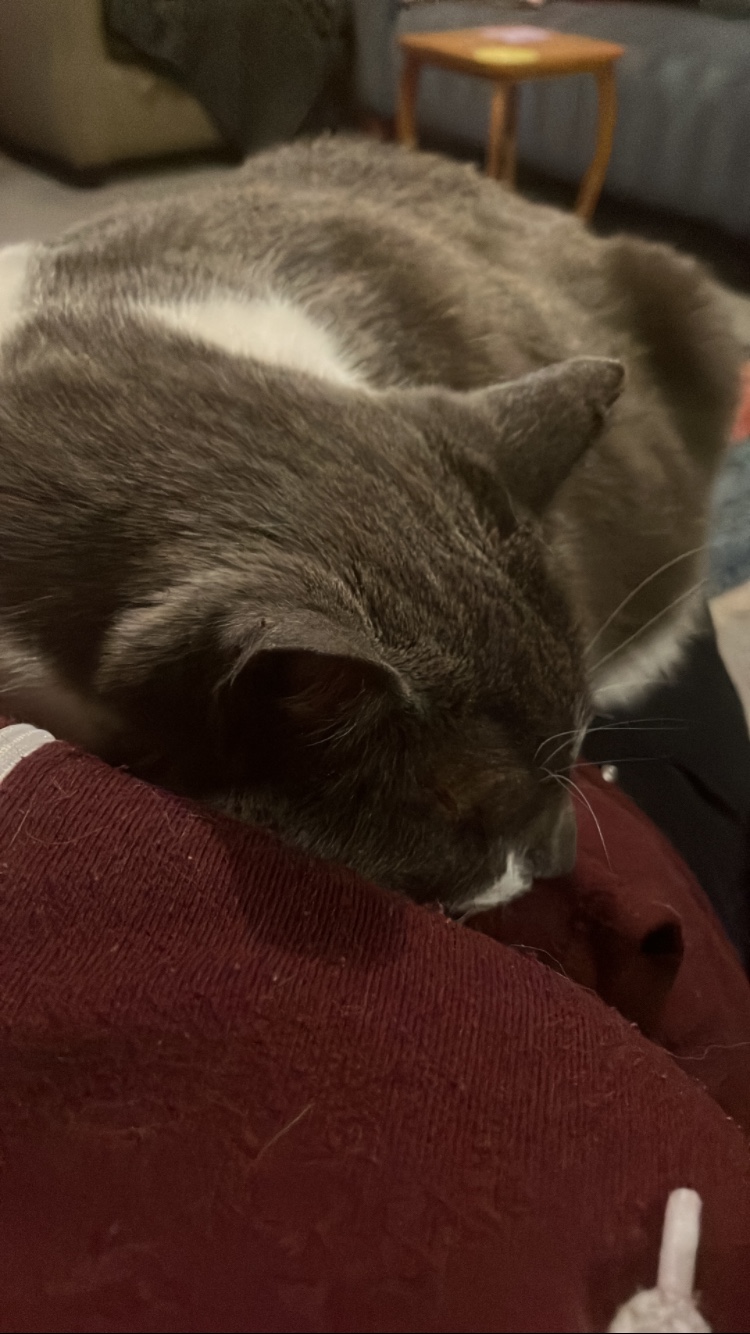 image-6