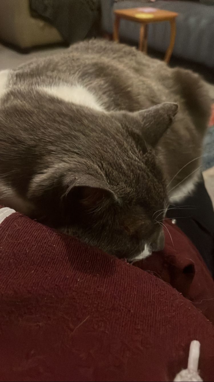 image-6
