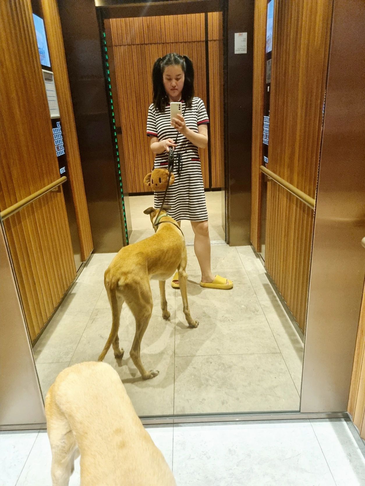 image-9