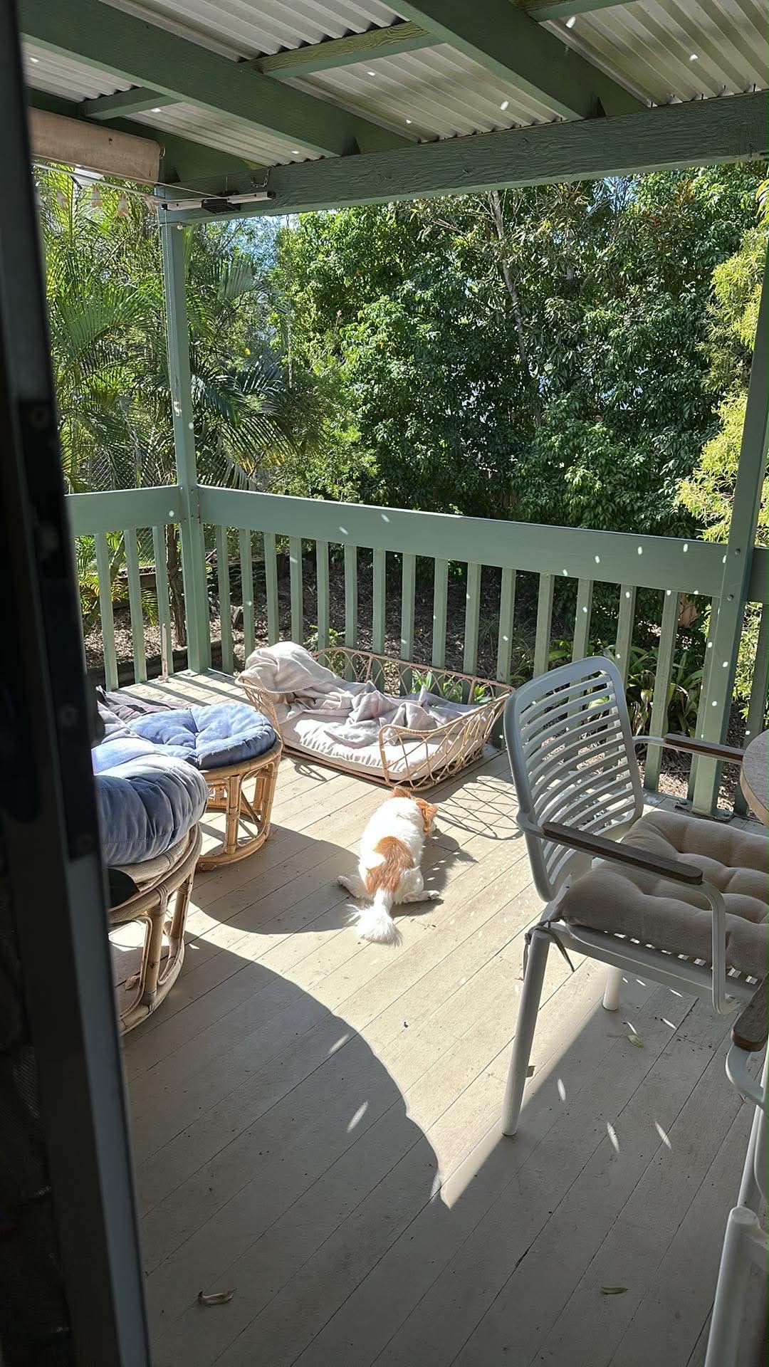 image-12