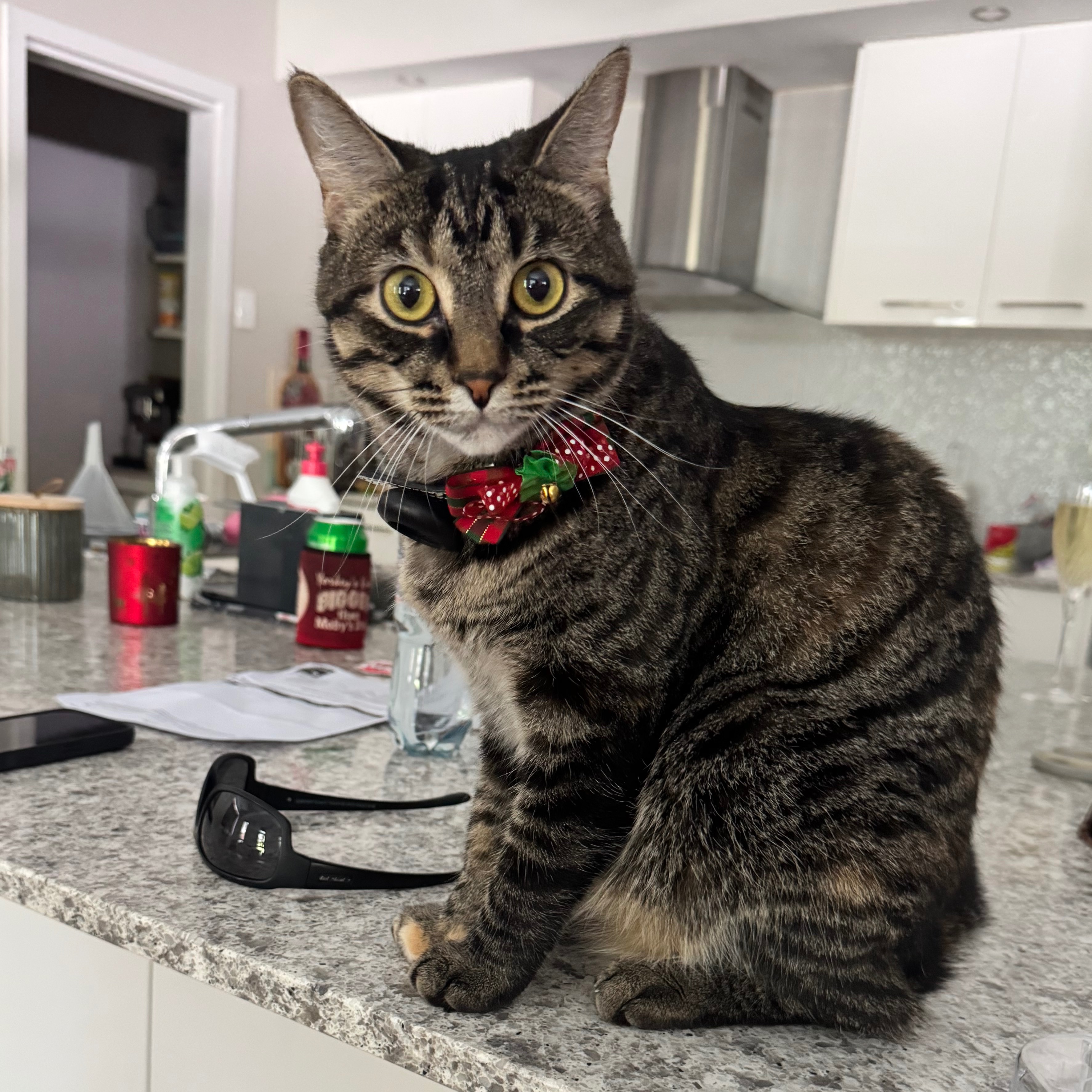 Tilly