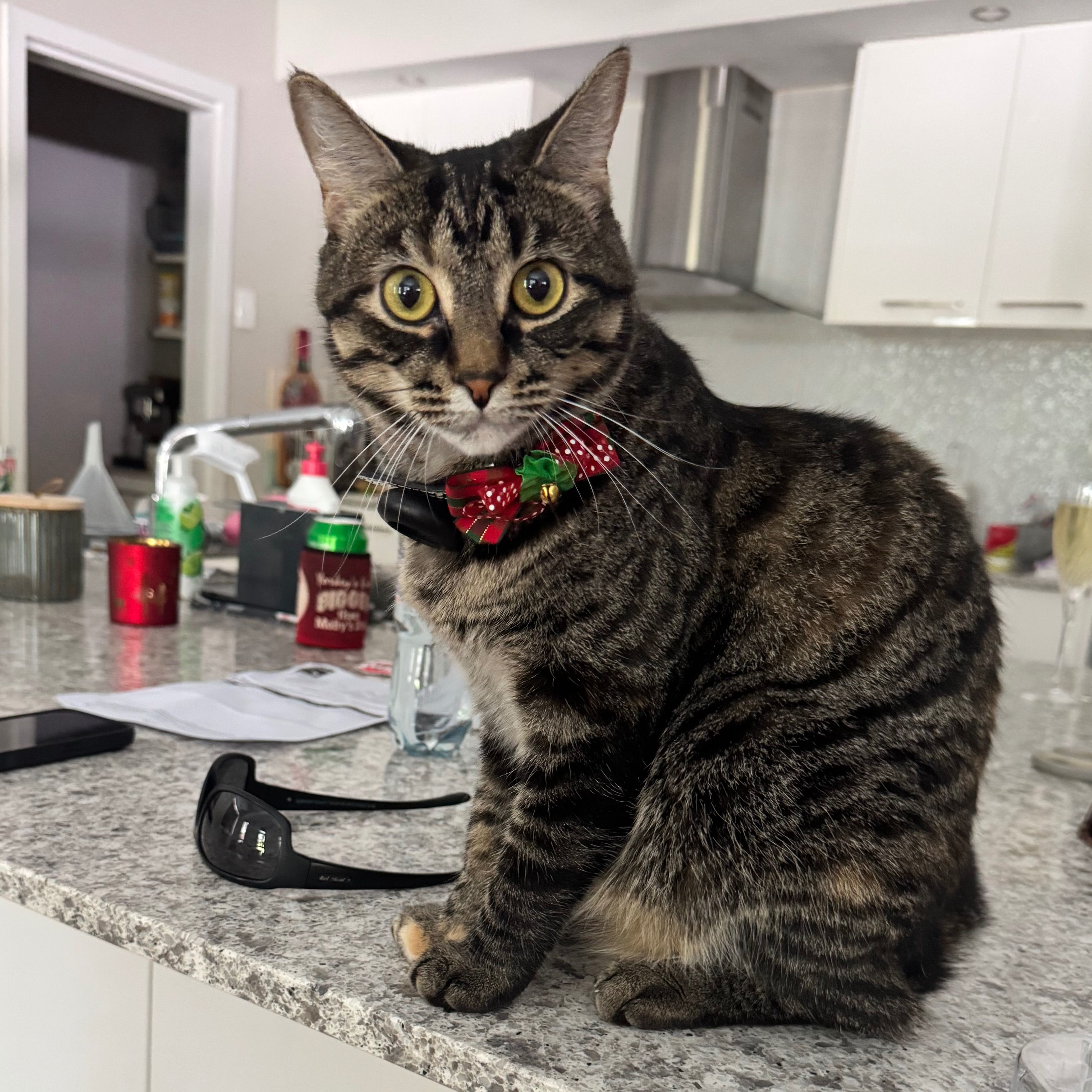 Tilly