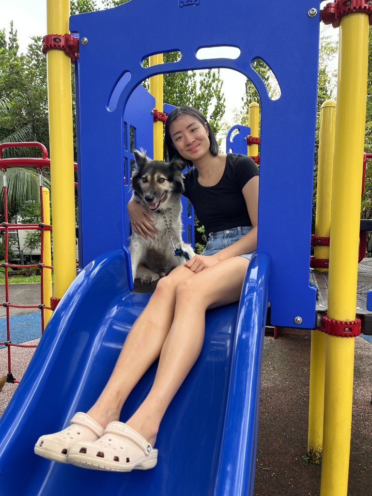 image-2