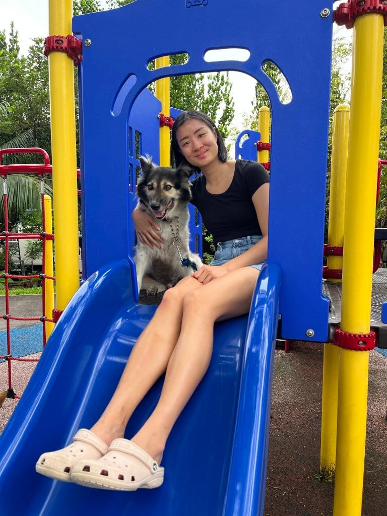 image-2