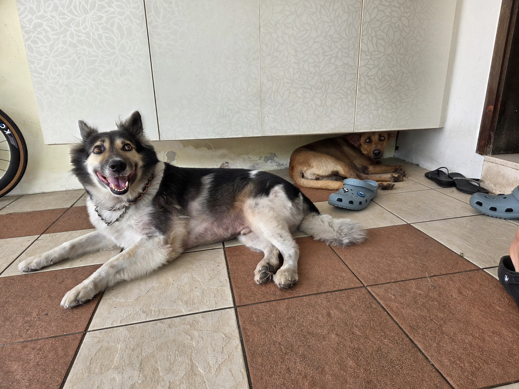 image-12