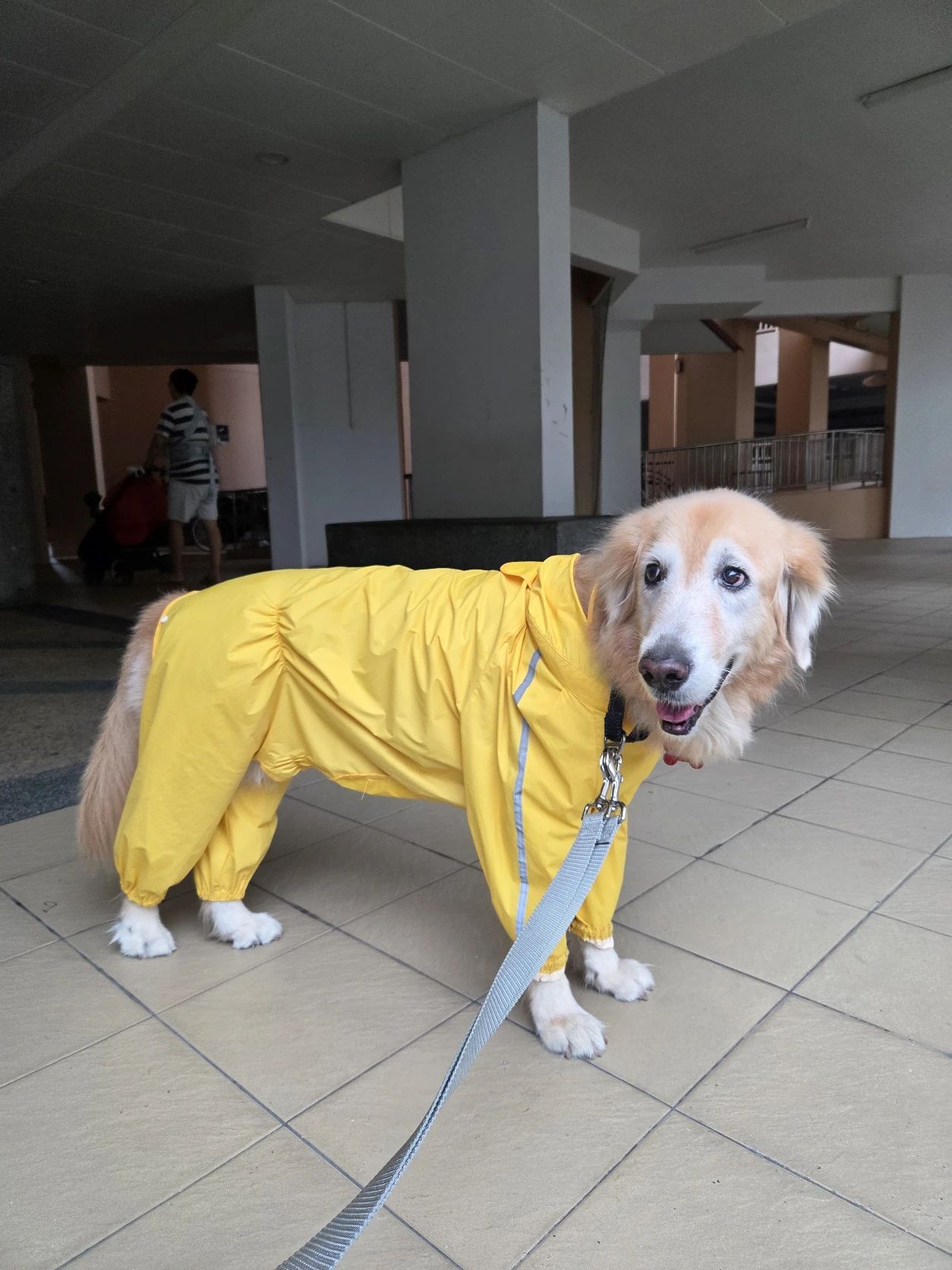 image-9
