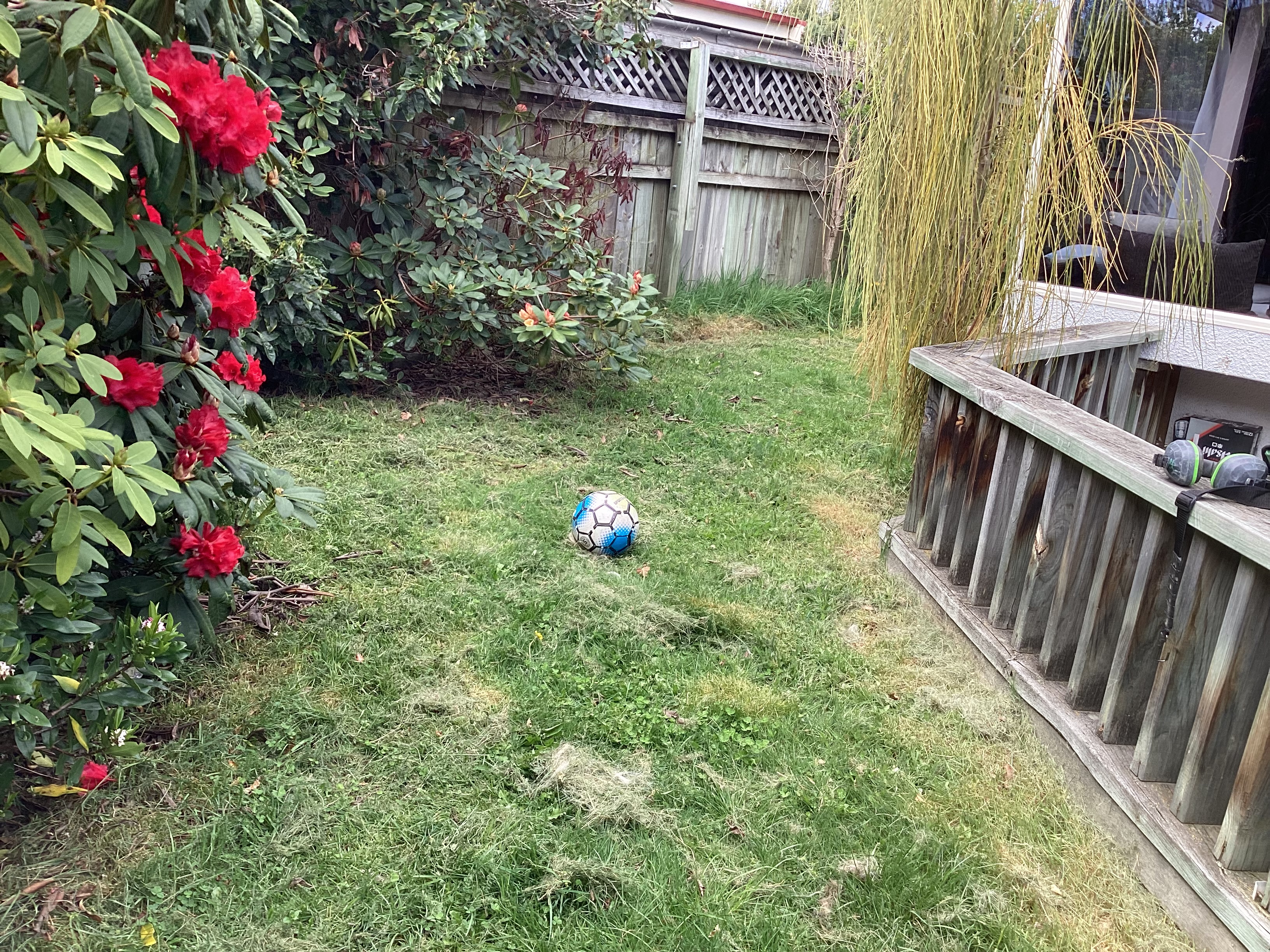 image-10