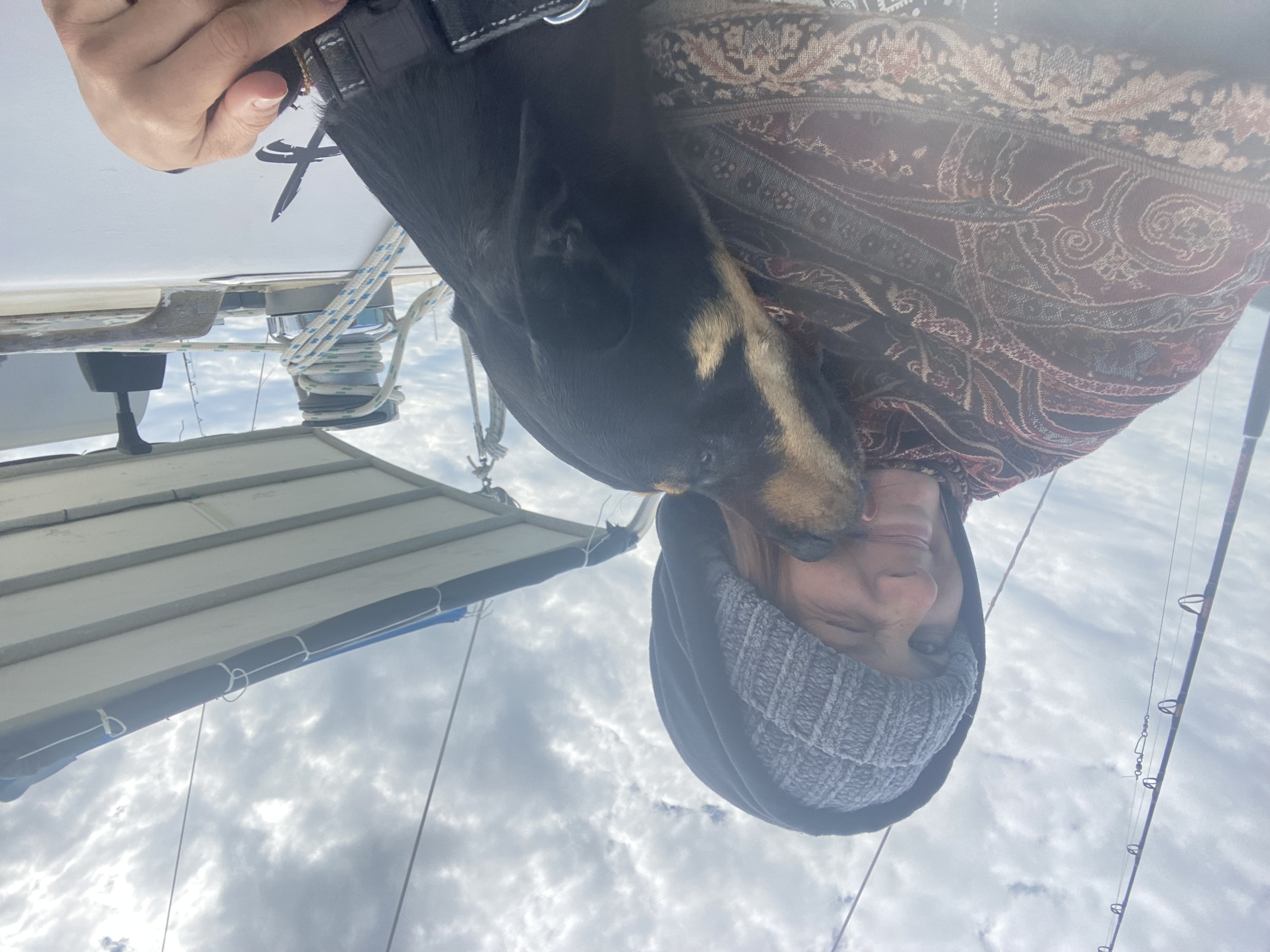 image-6