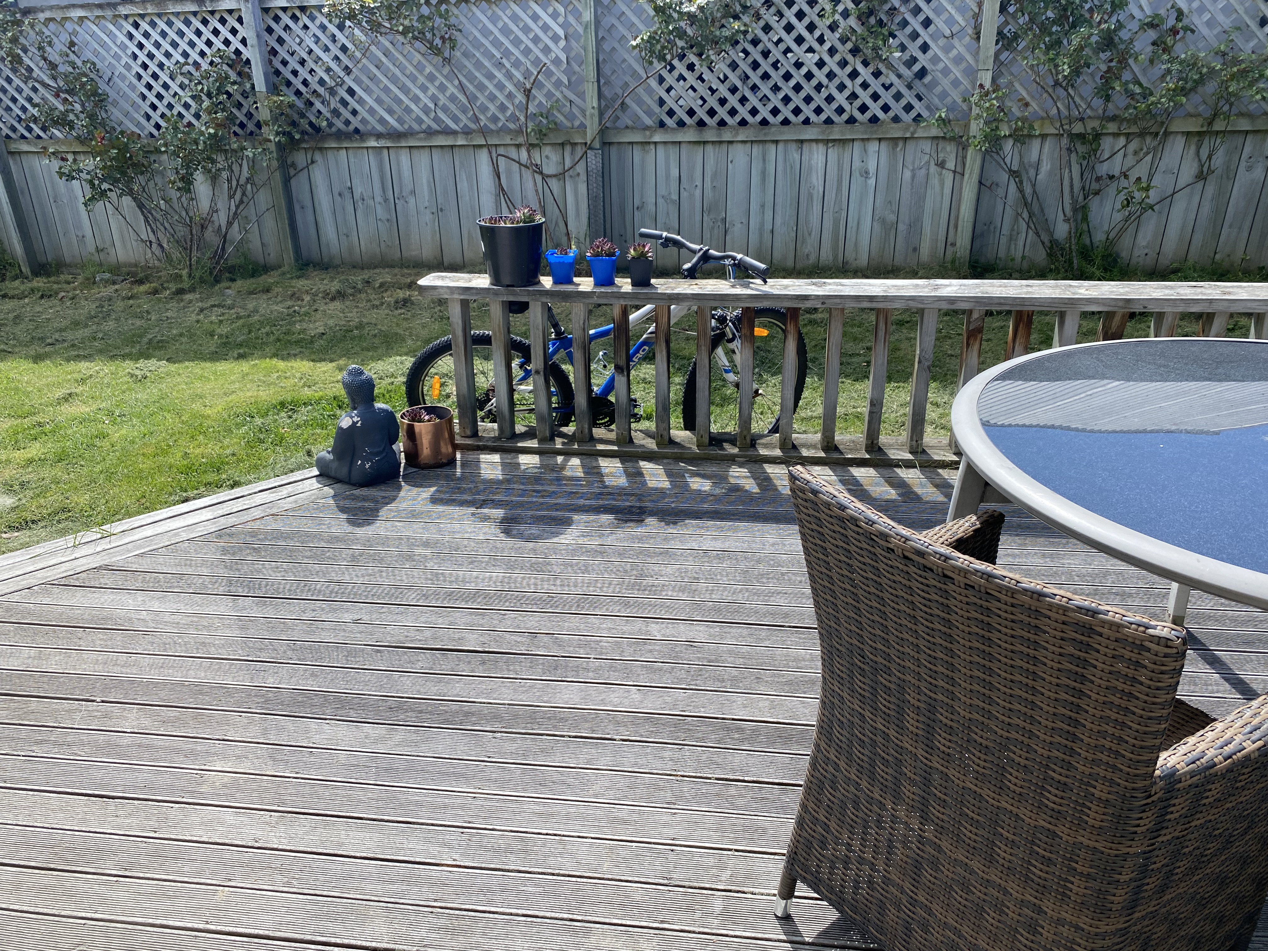 image-14