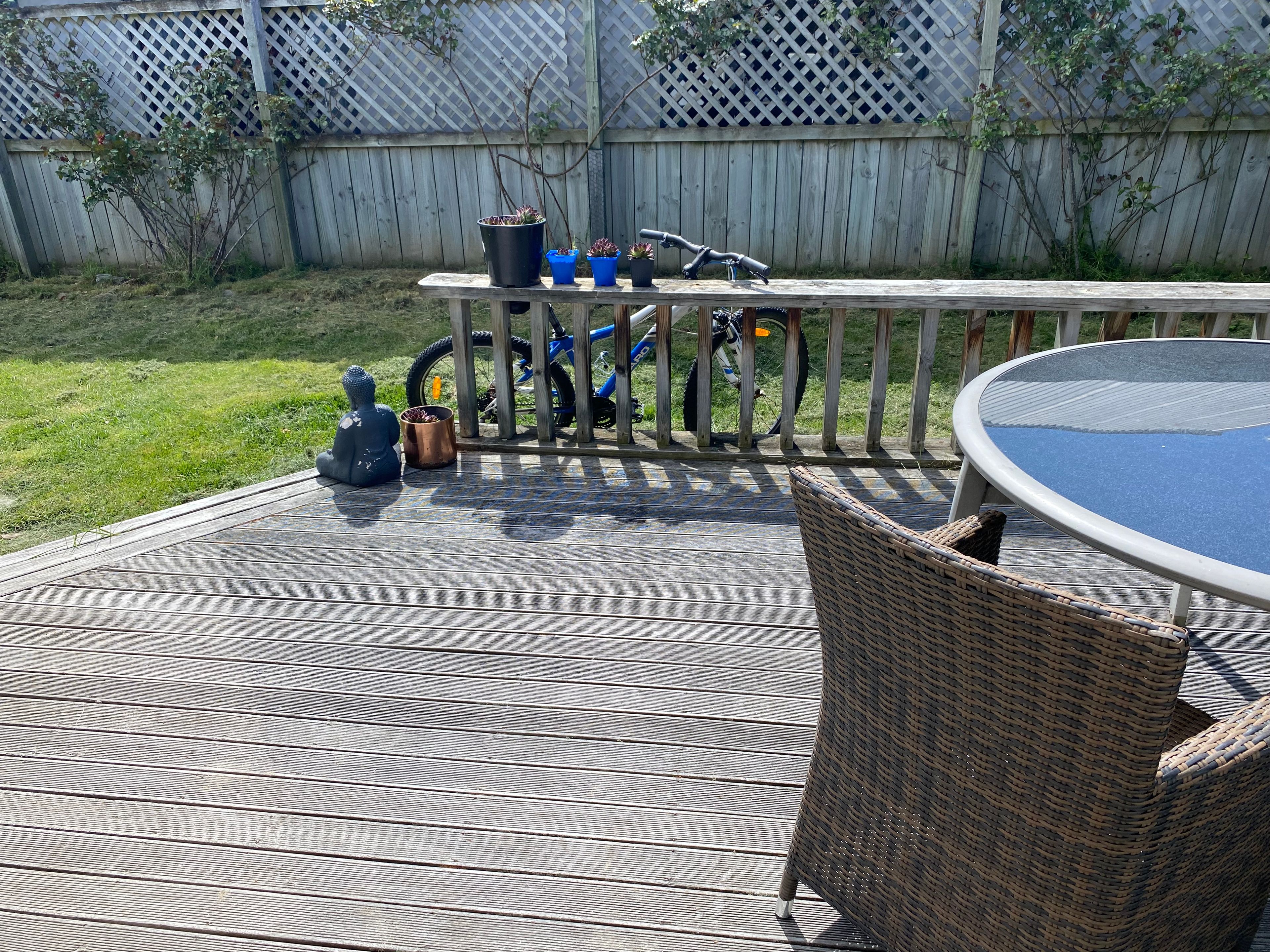 image-14