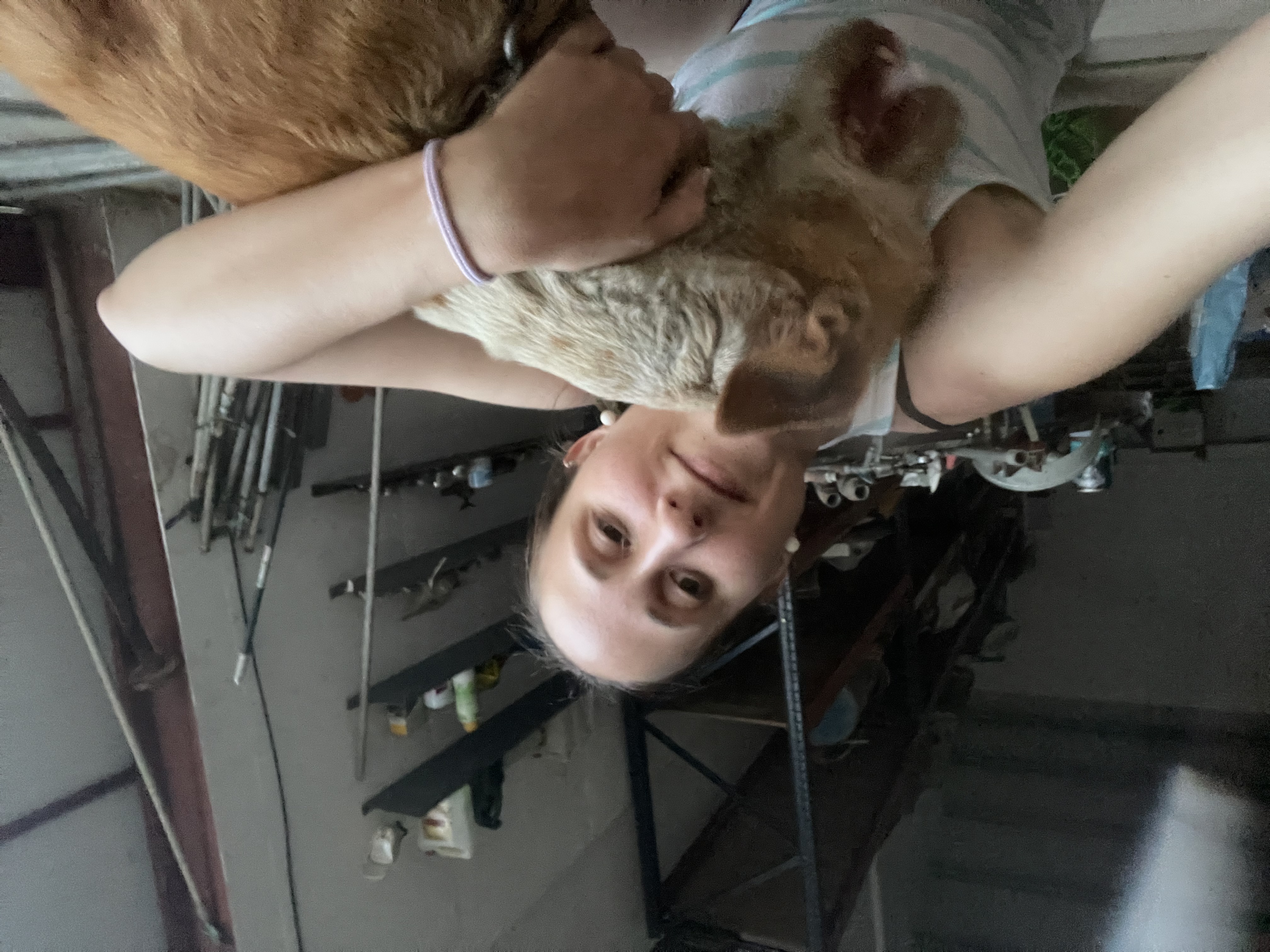 image-12