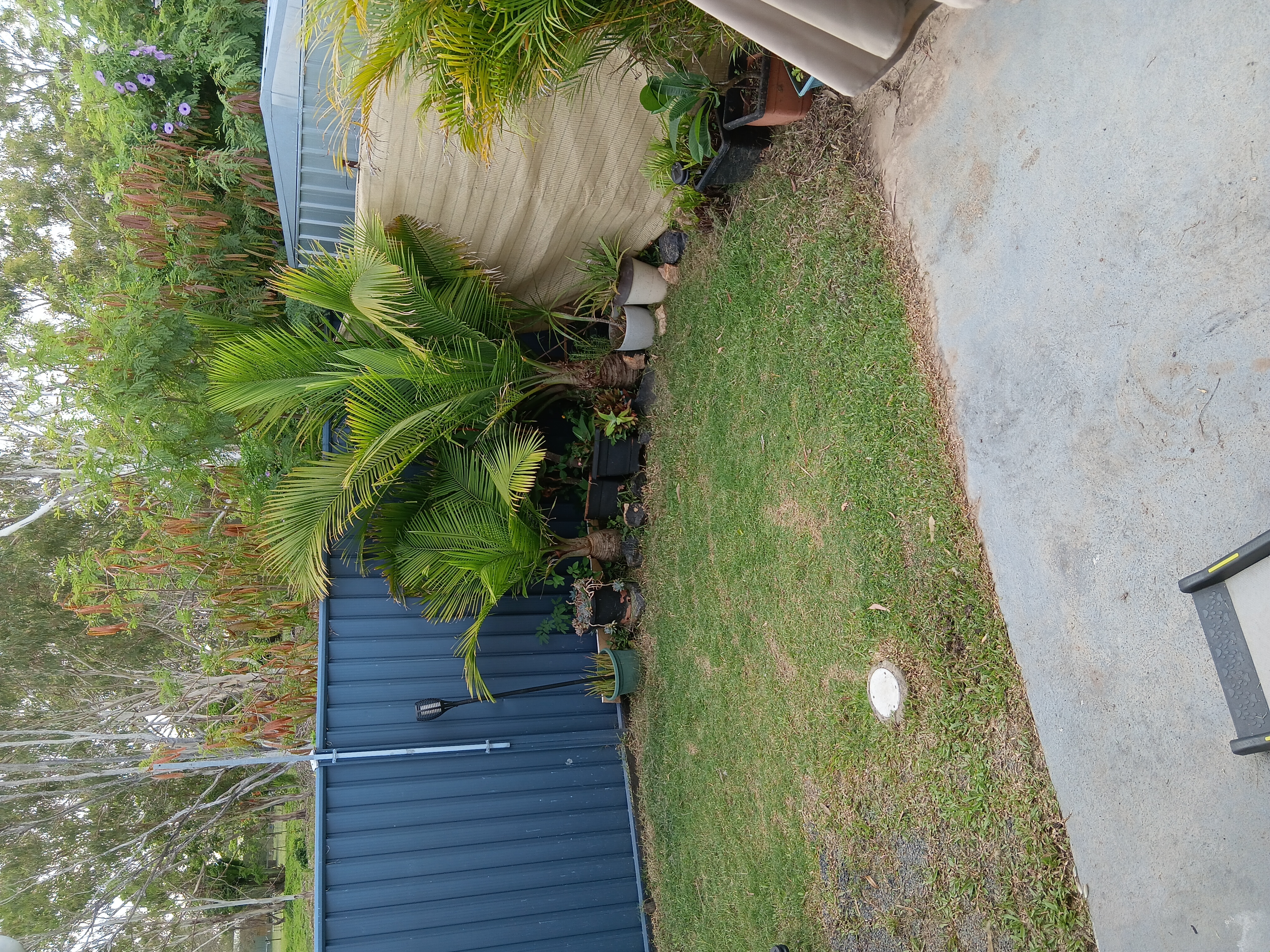 image-16