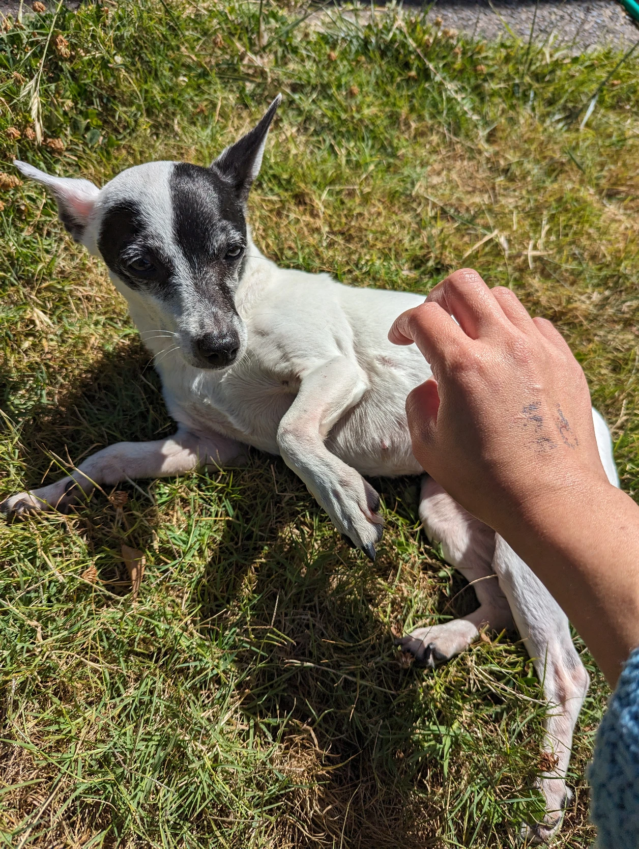 image-3
