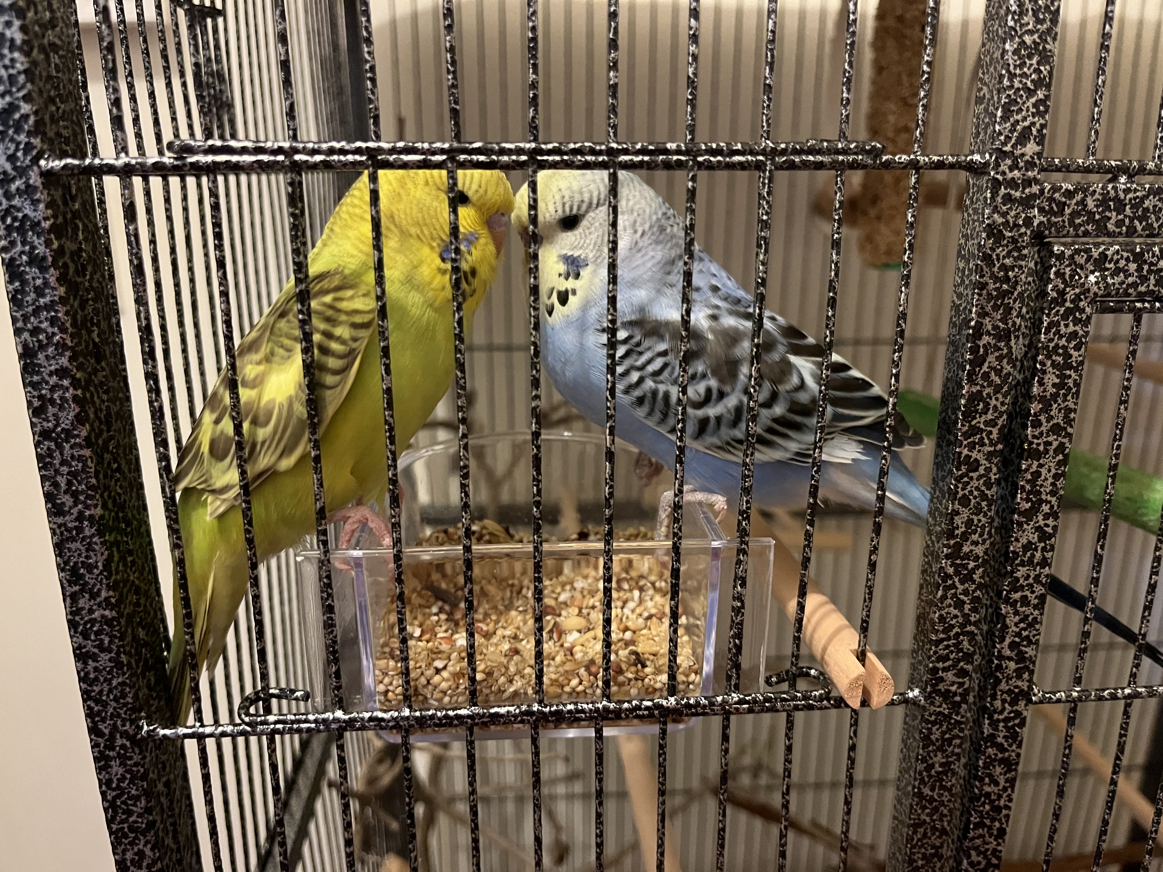 image-12