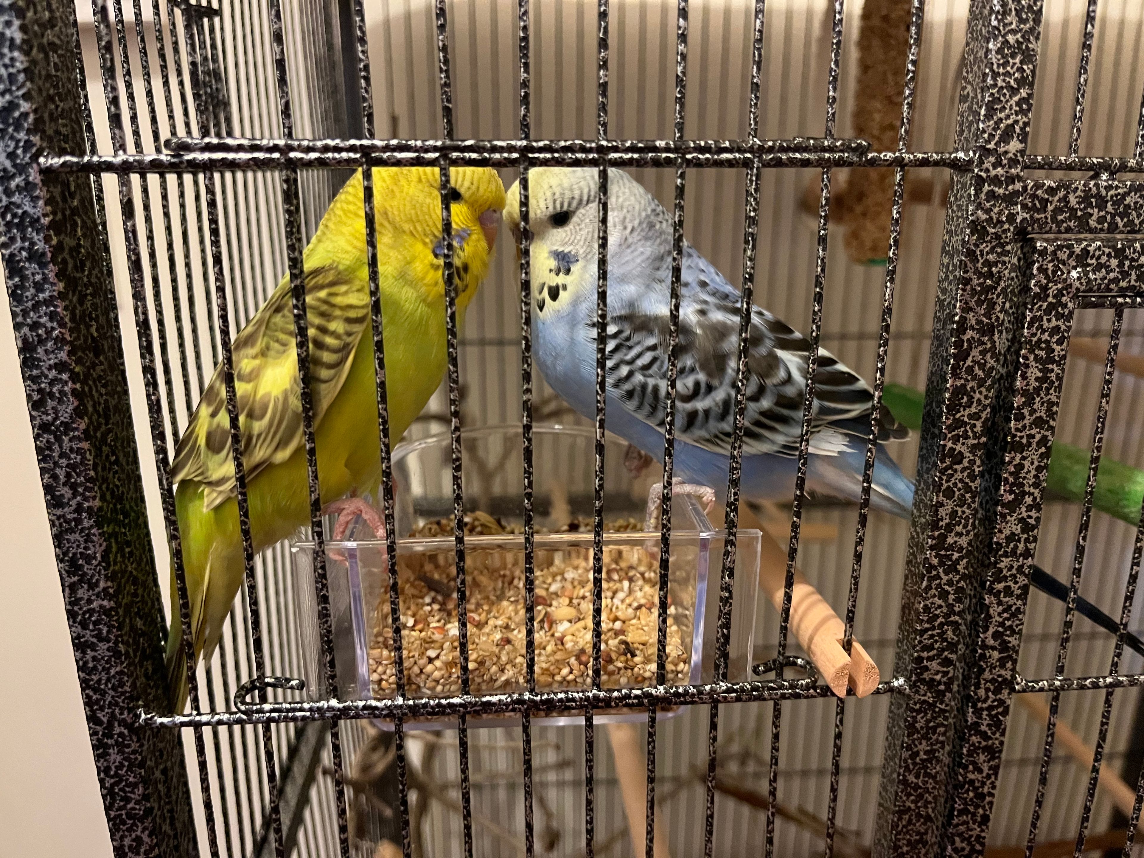 image-12