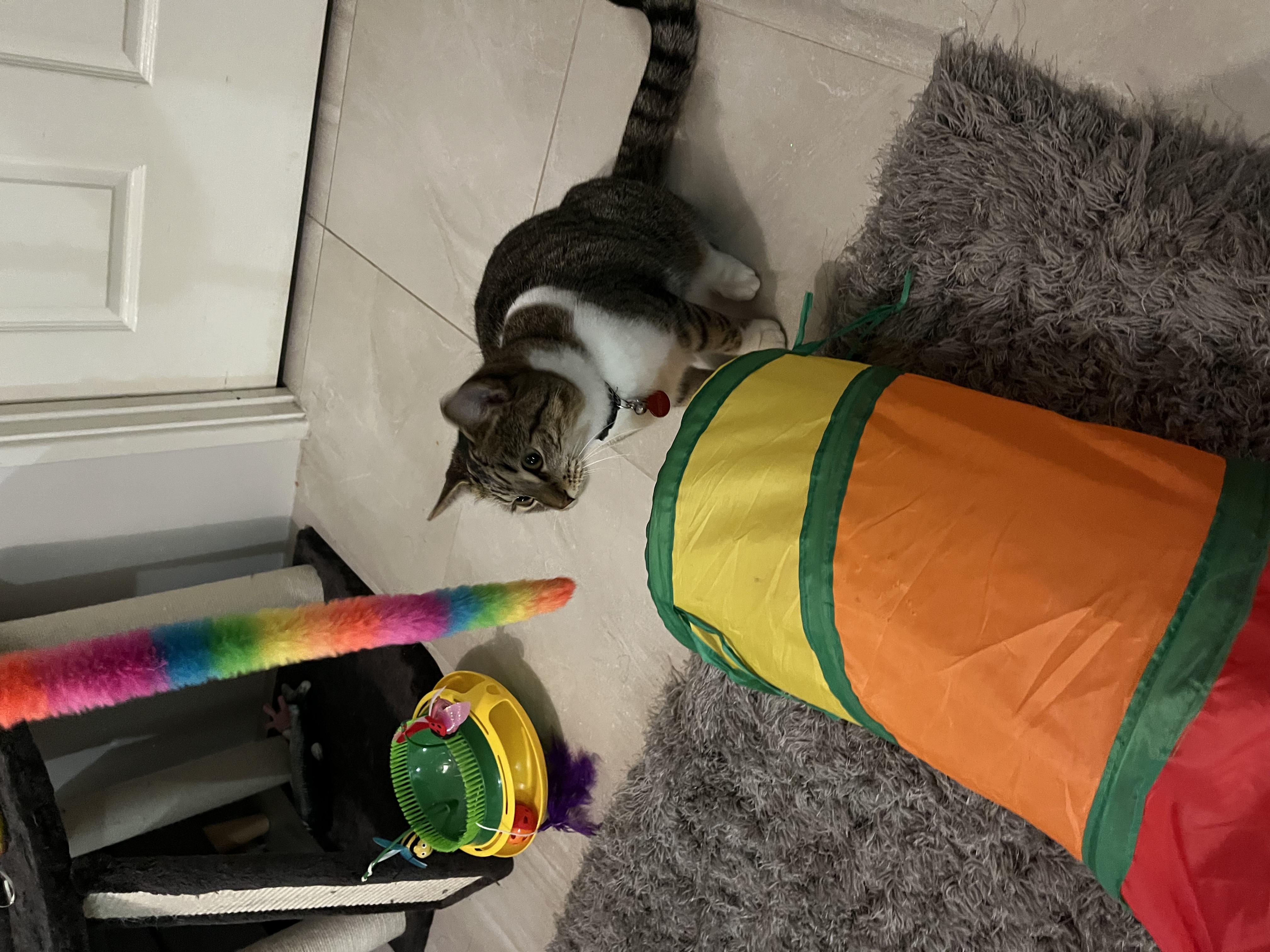 image-14