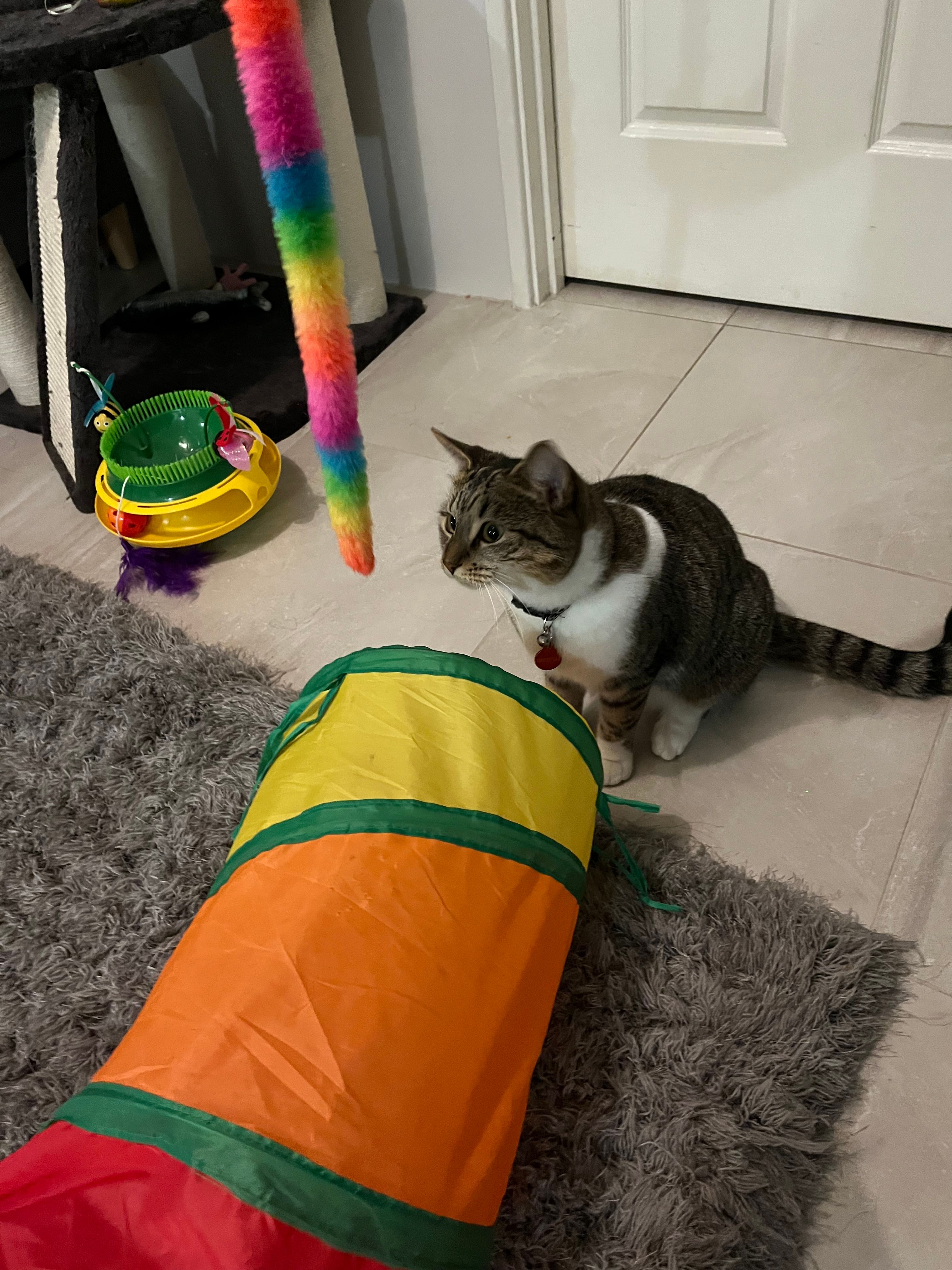 image-14