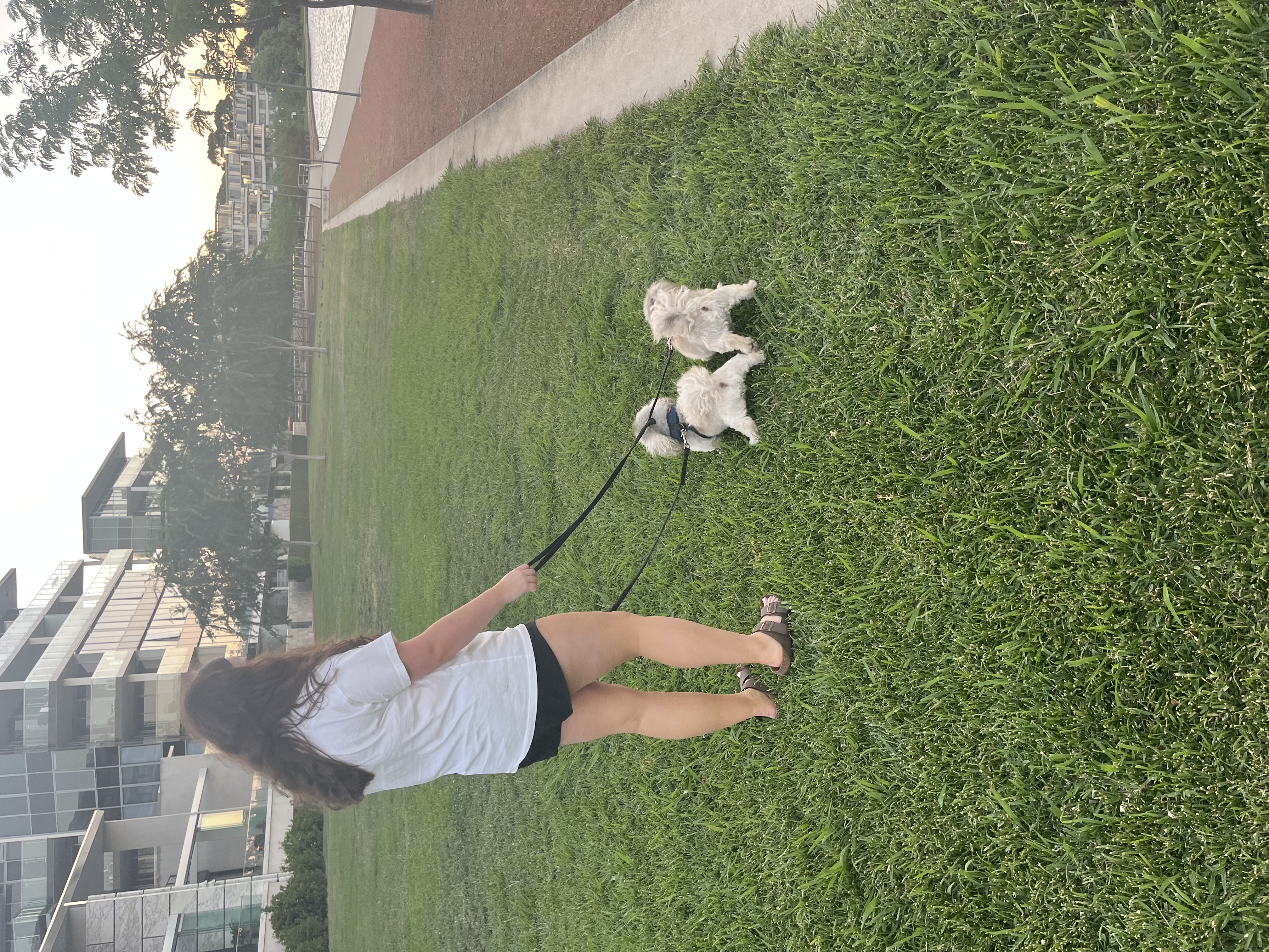 image-7