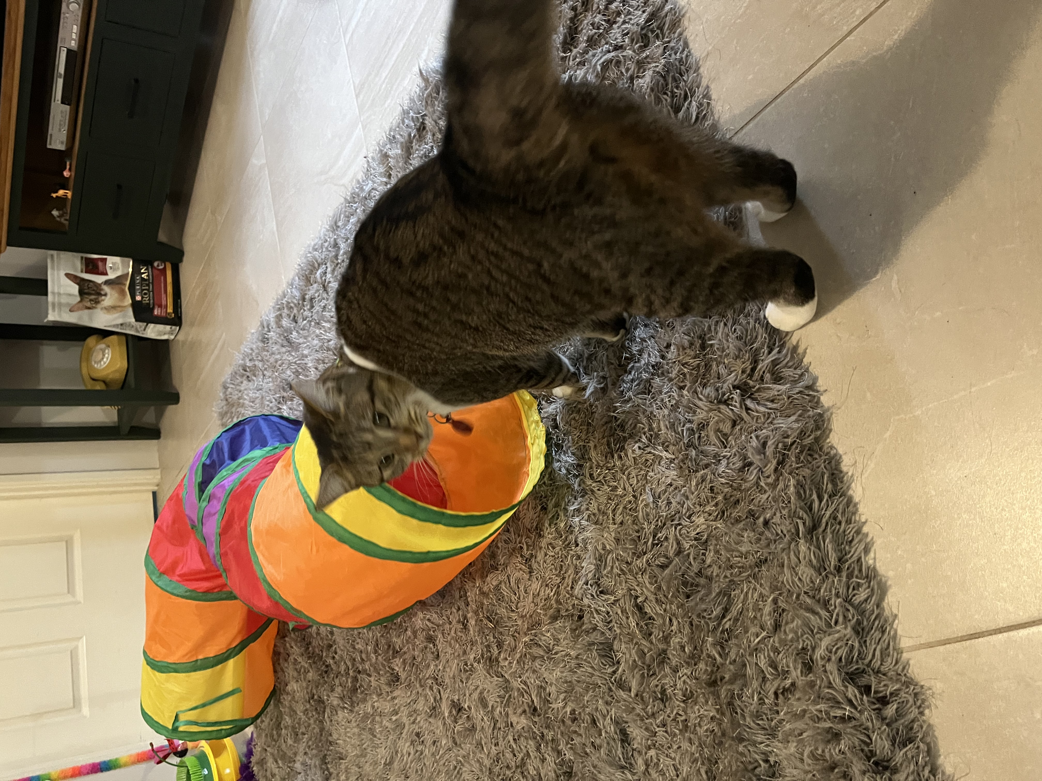 image-15