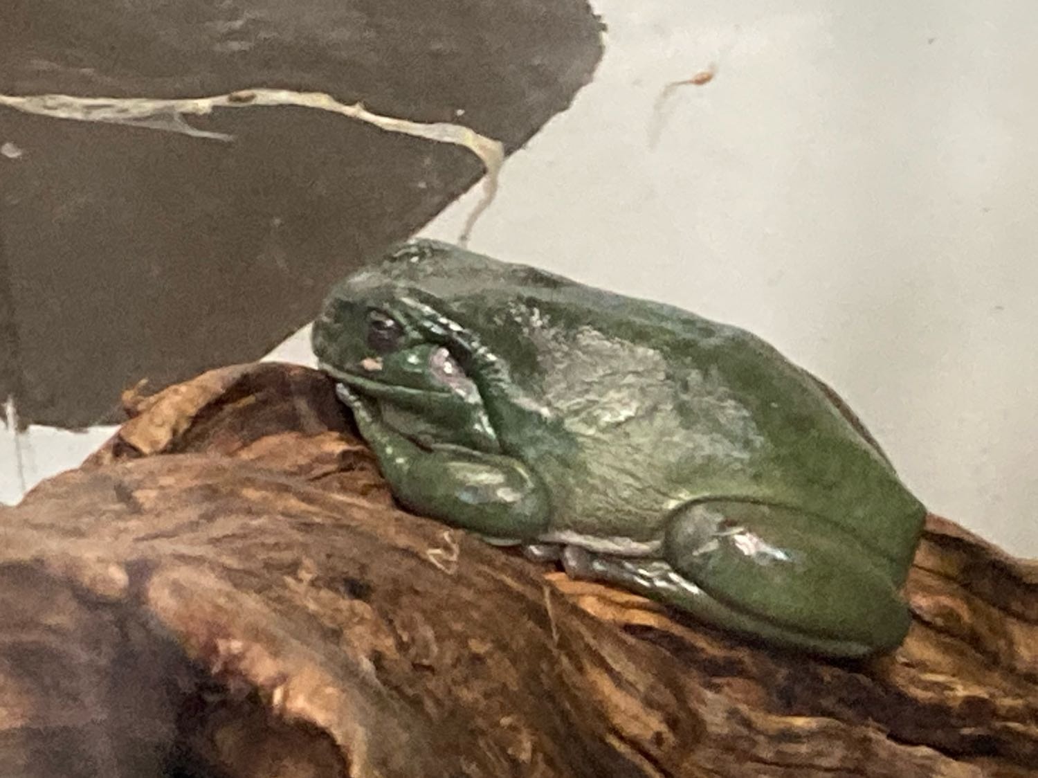 image-6