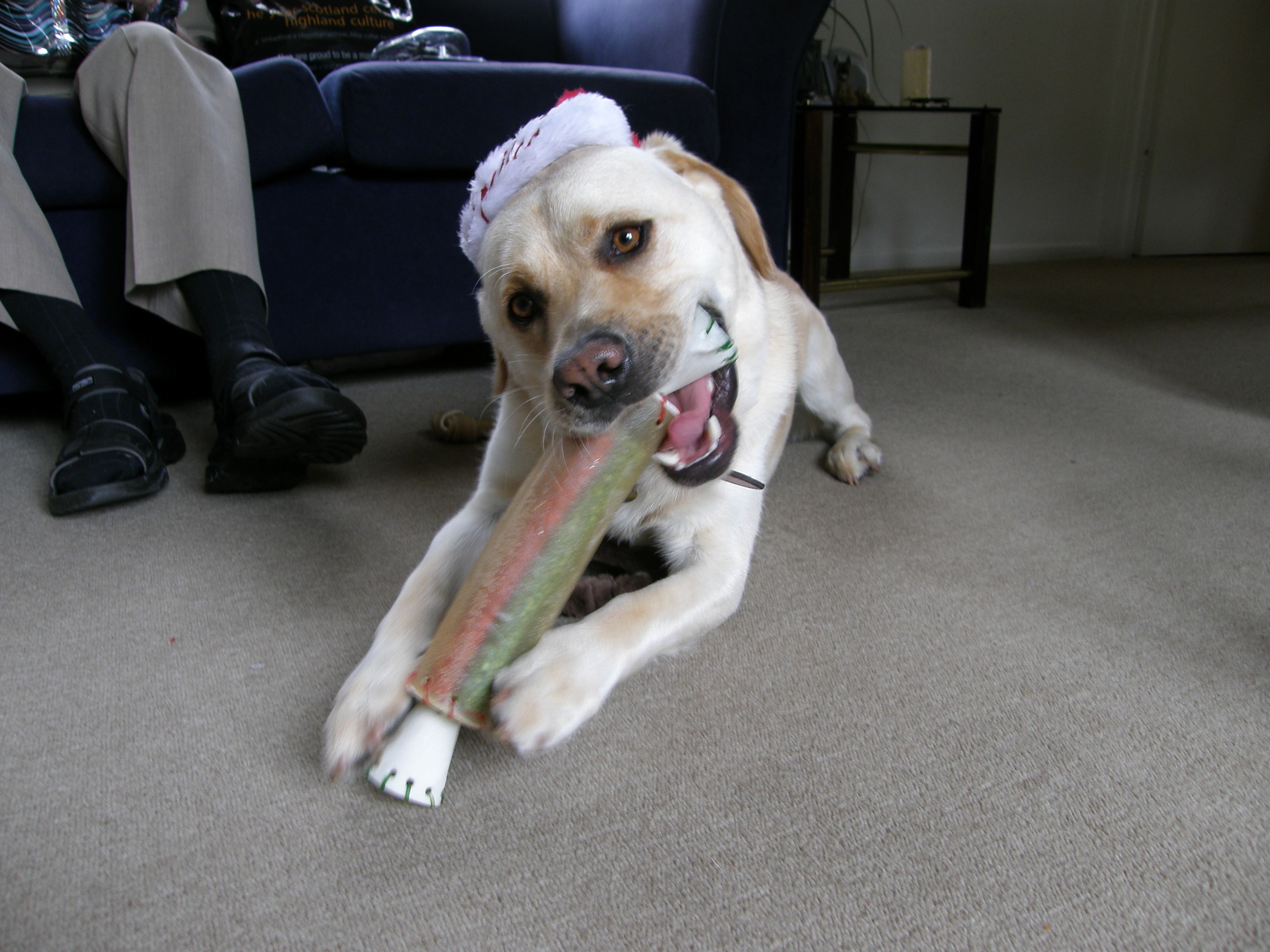 image-9