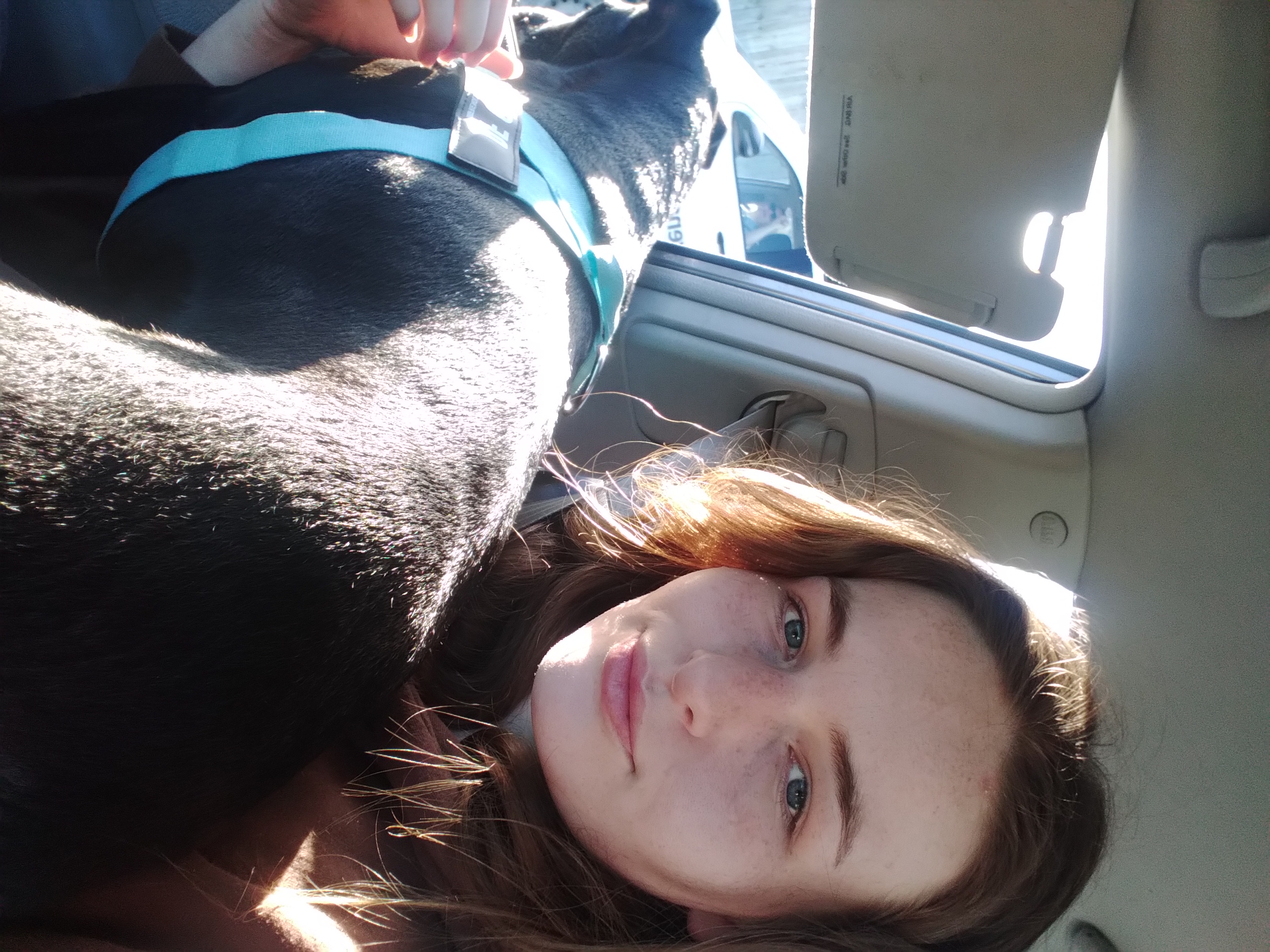 image-16
