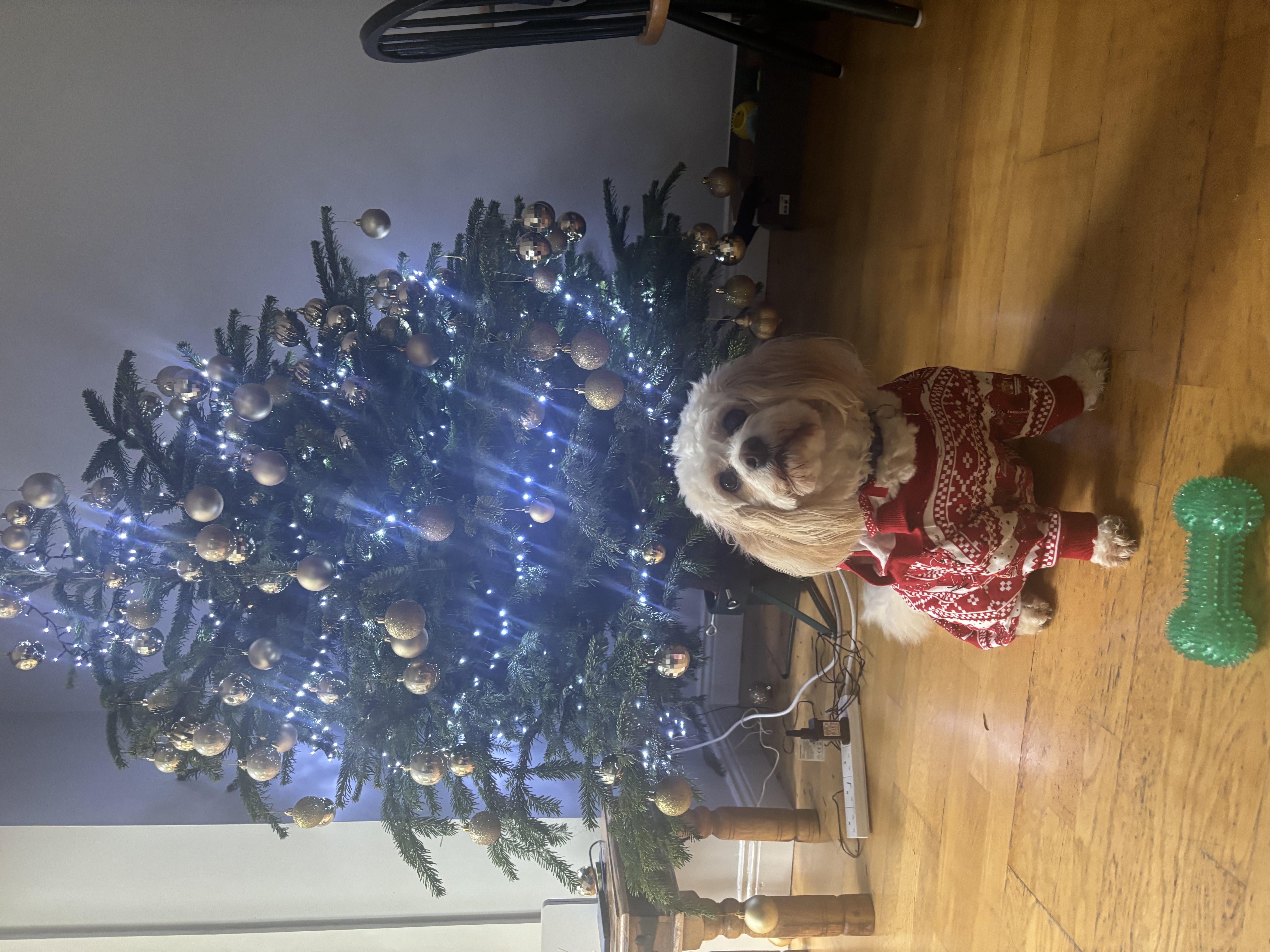 image-7