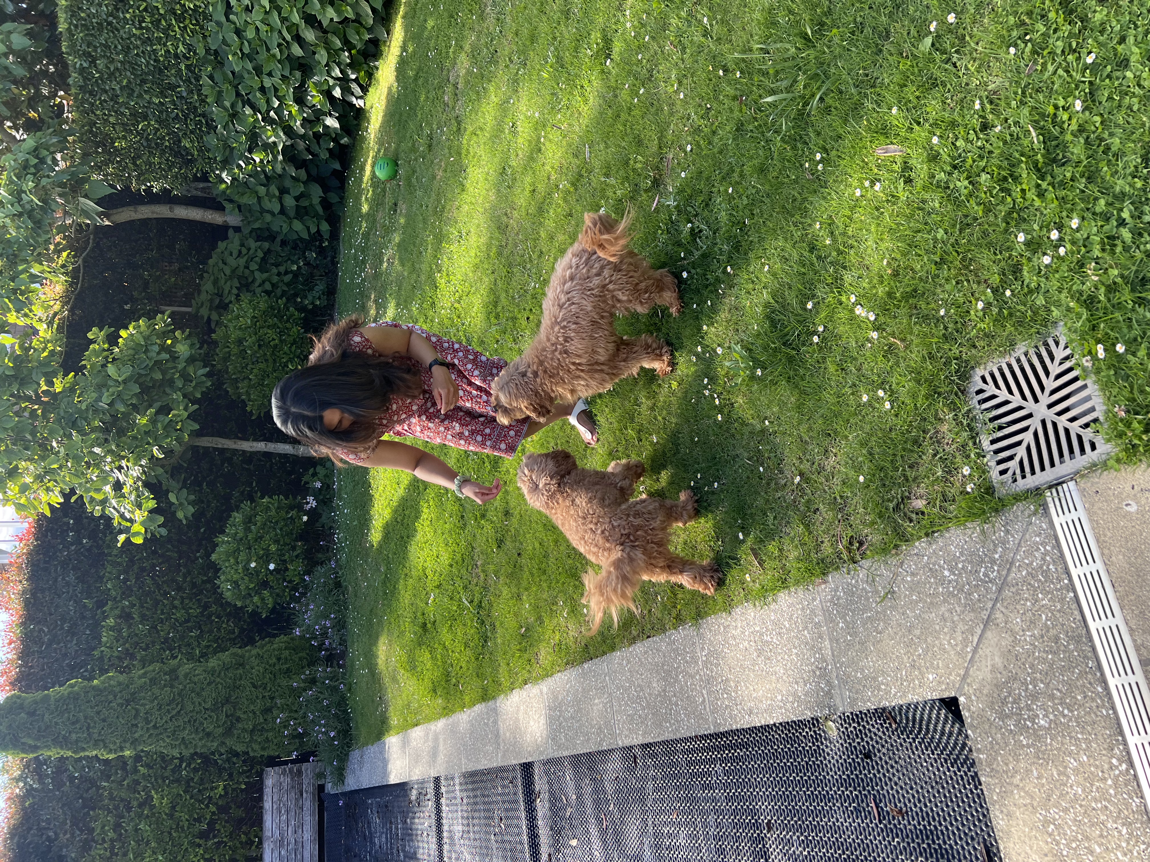 image-8