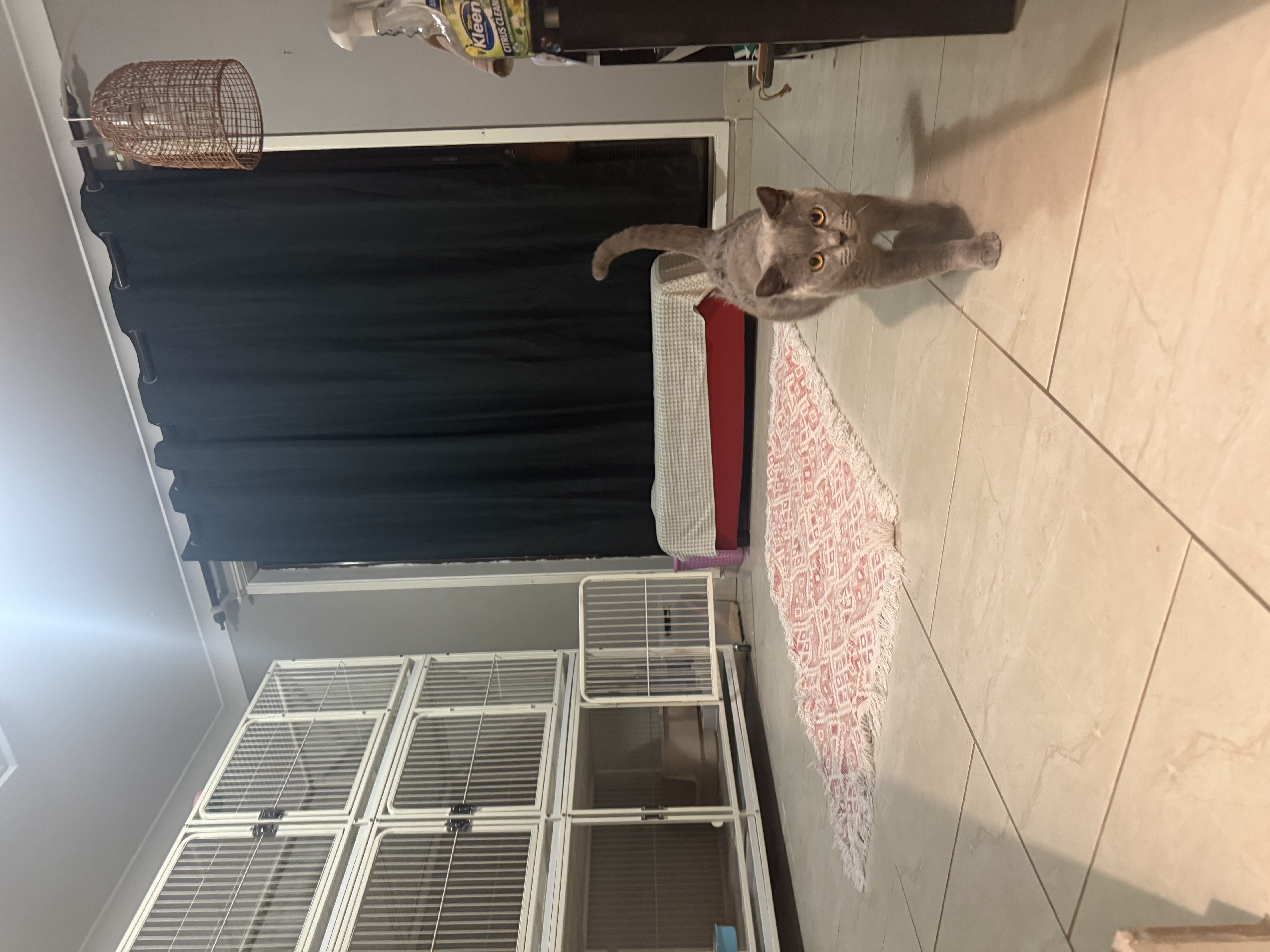 image-12