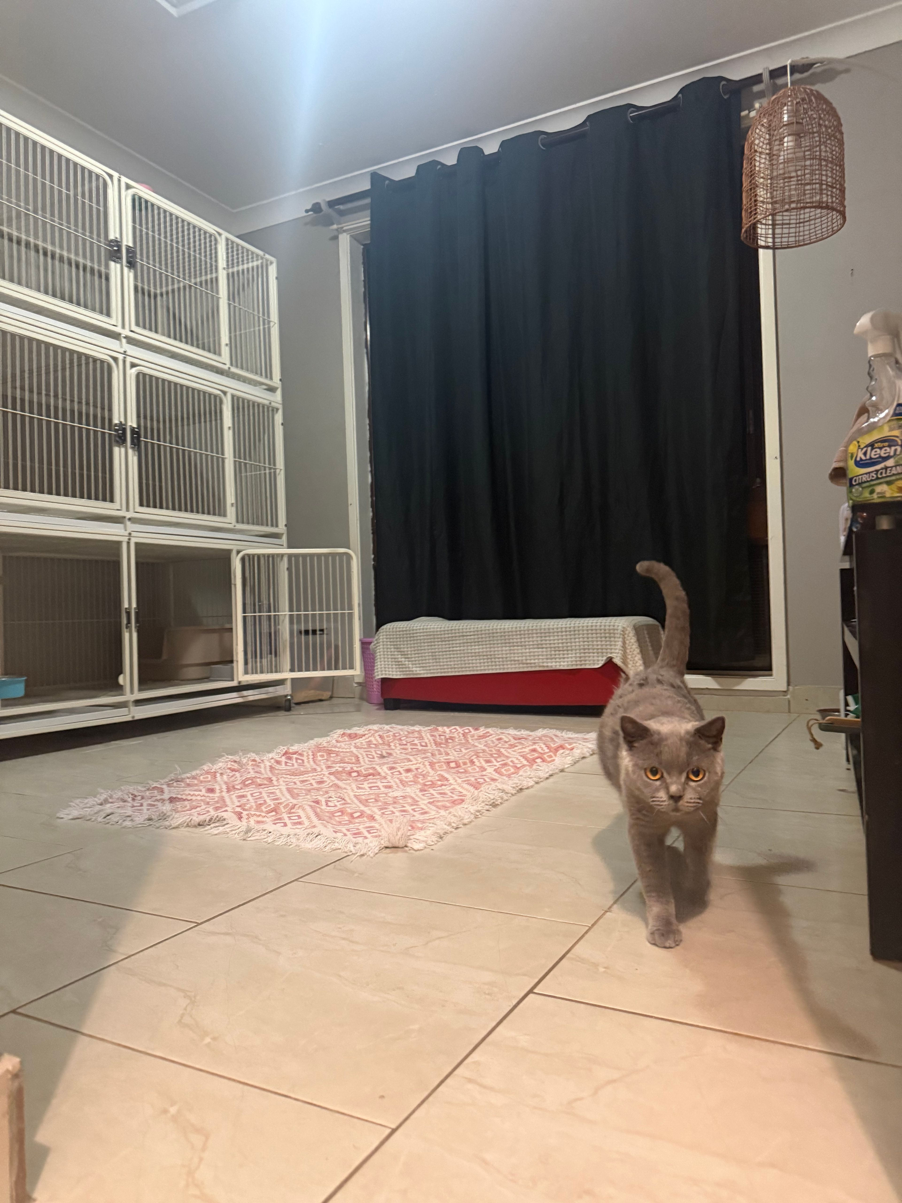 image-12