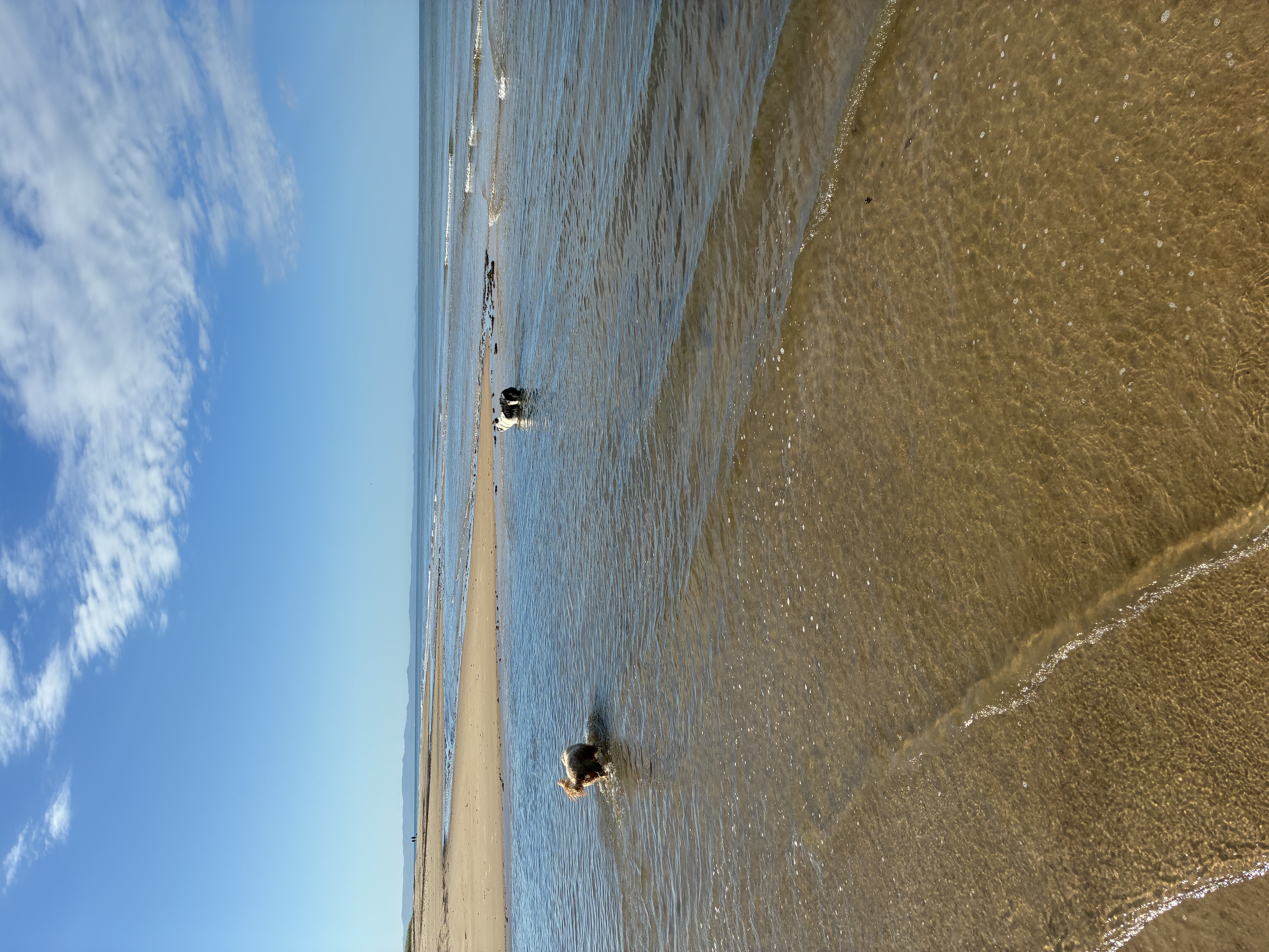 image-14