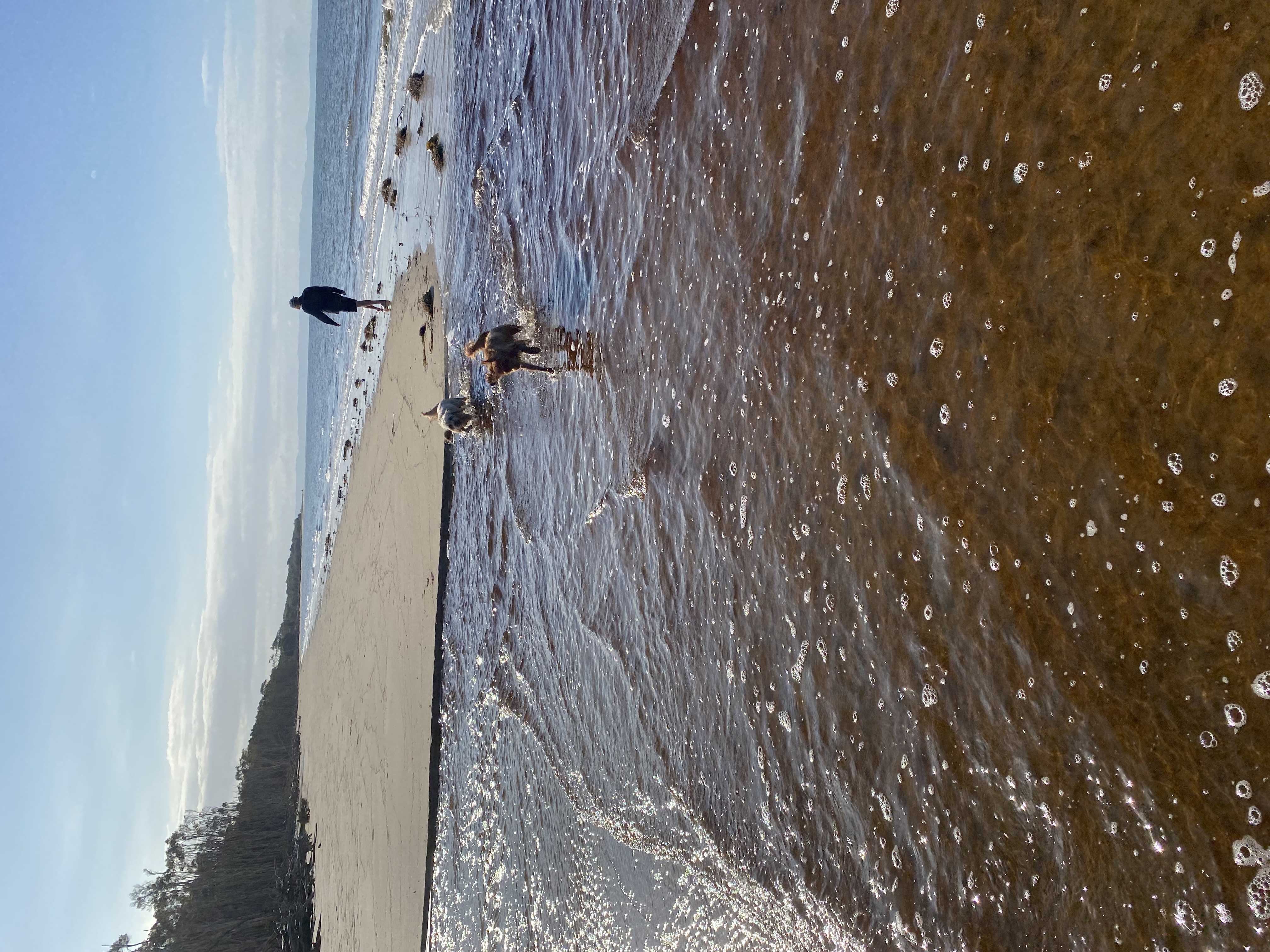 image-15