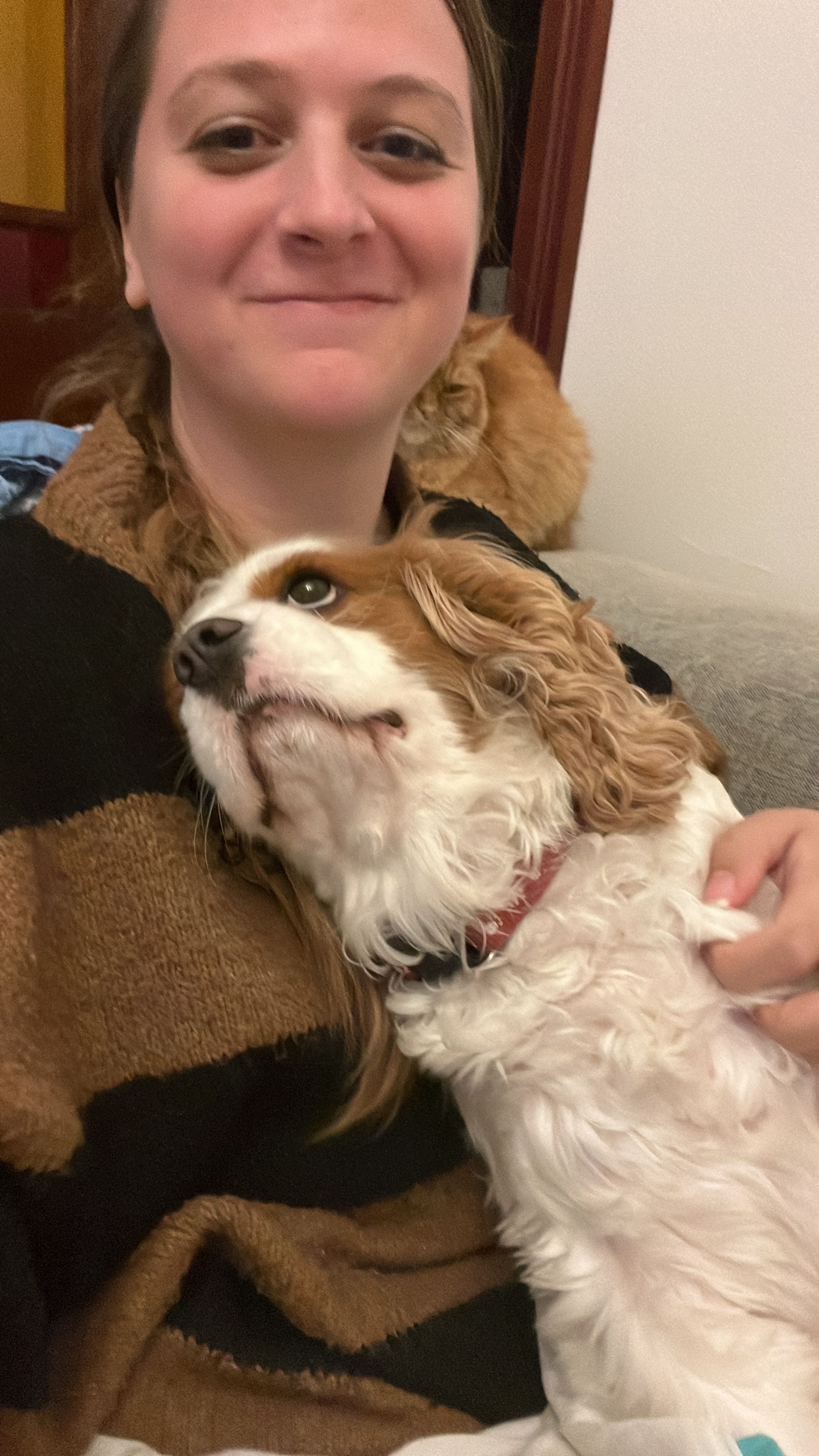 image-9
