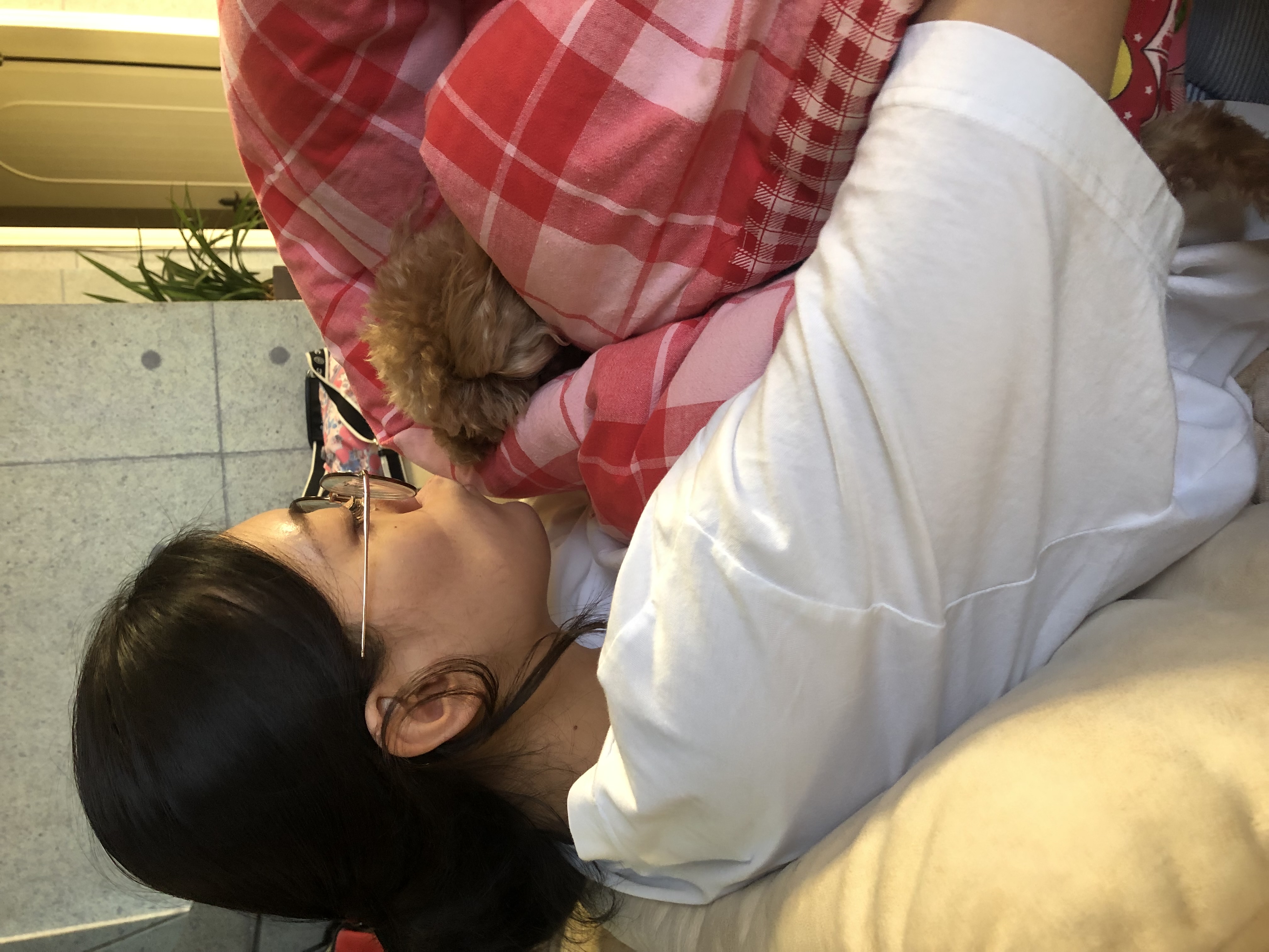 image-7