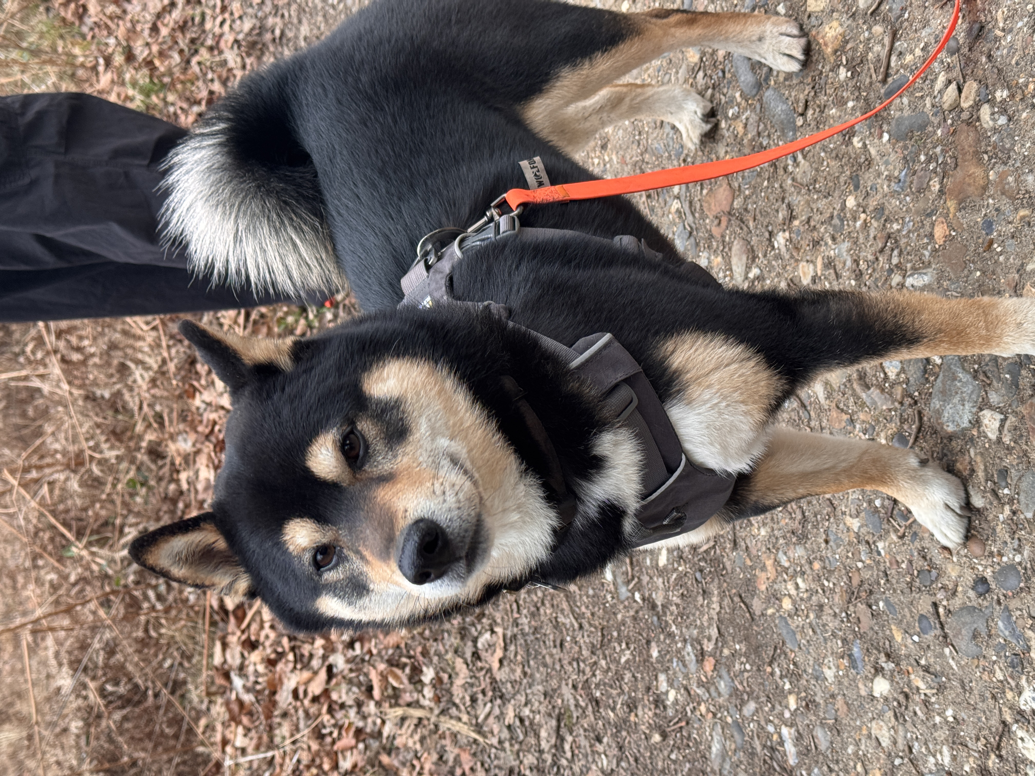 image-8