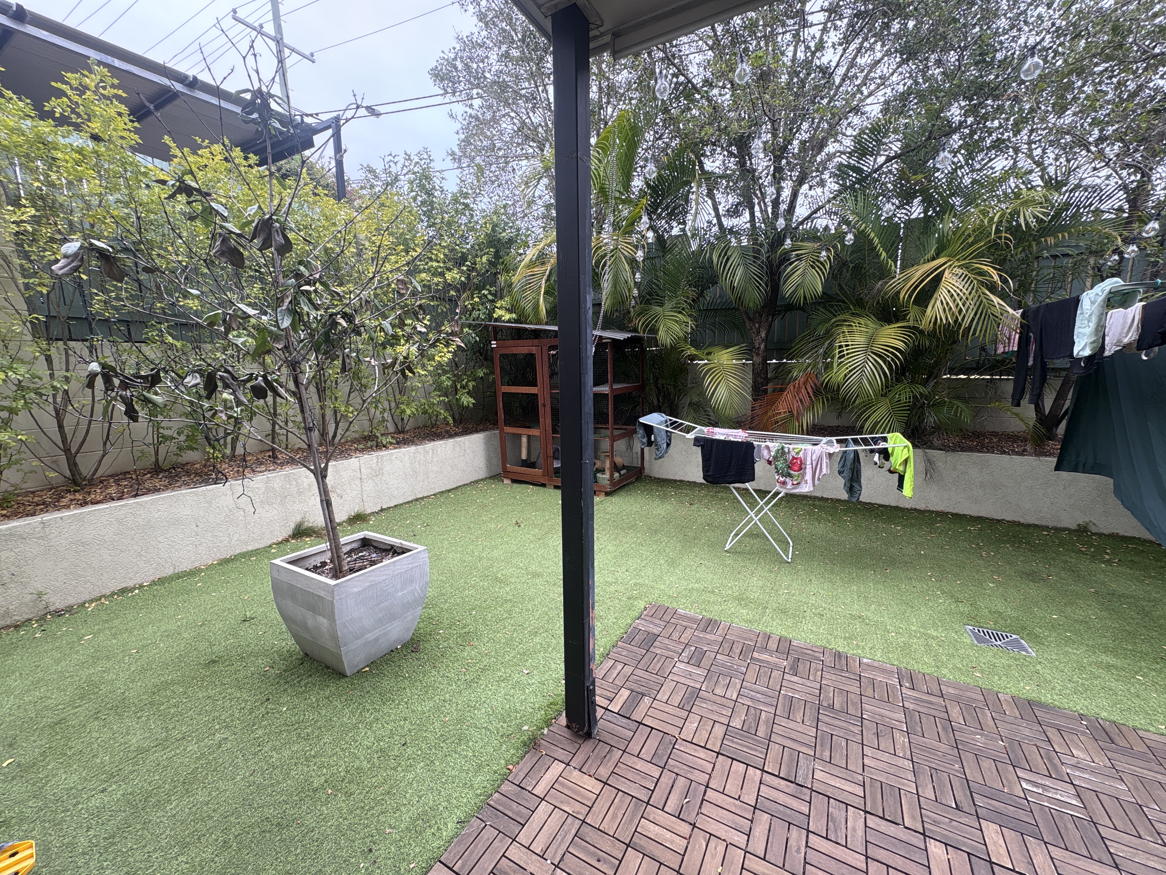 image-20